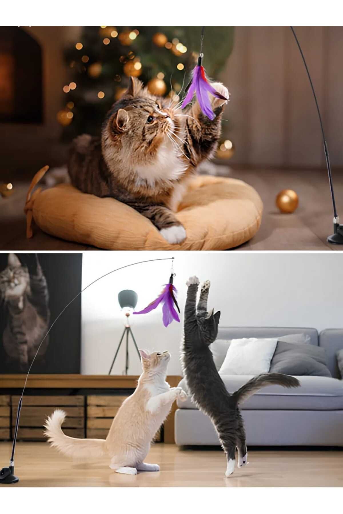 fy shop Vantuzlu ve Ucu Tüylü Kedi Oyun Oltası