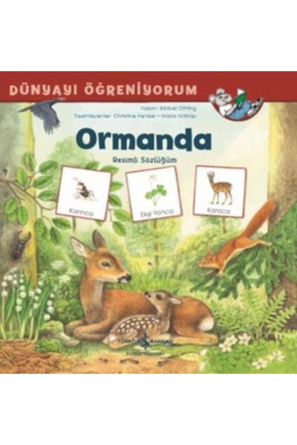 Destek Yayınları Dünyayı Öğreniyorum Ormanda Resimli Sözlüğüm