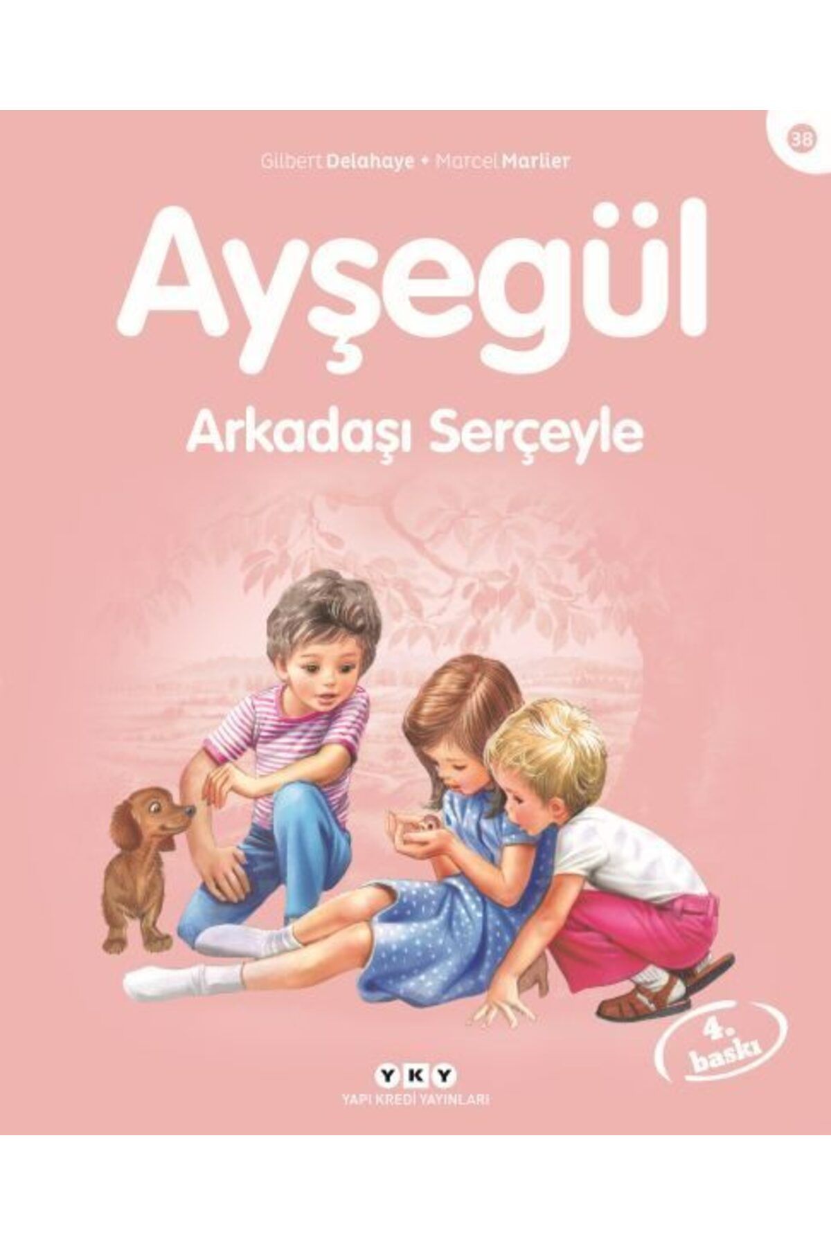 Destek Yayınları Ayşegül Serisi 38 Arkadaşı Serçeyle