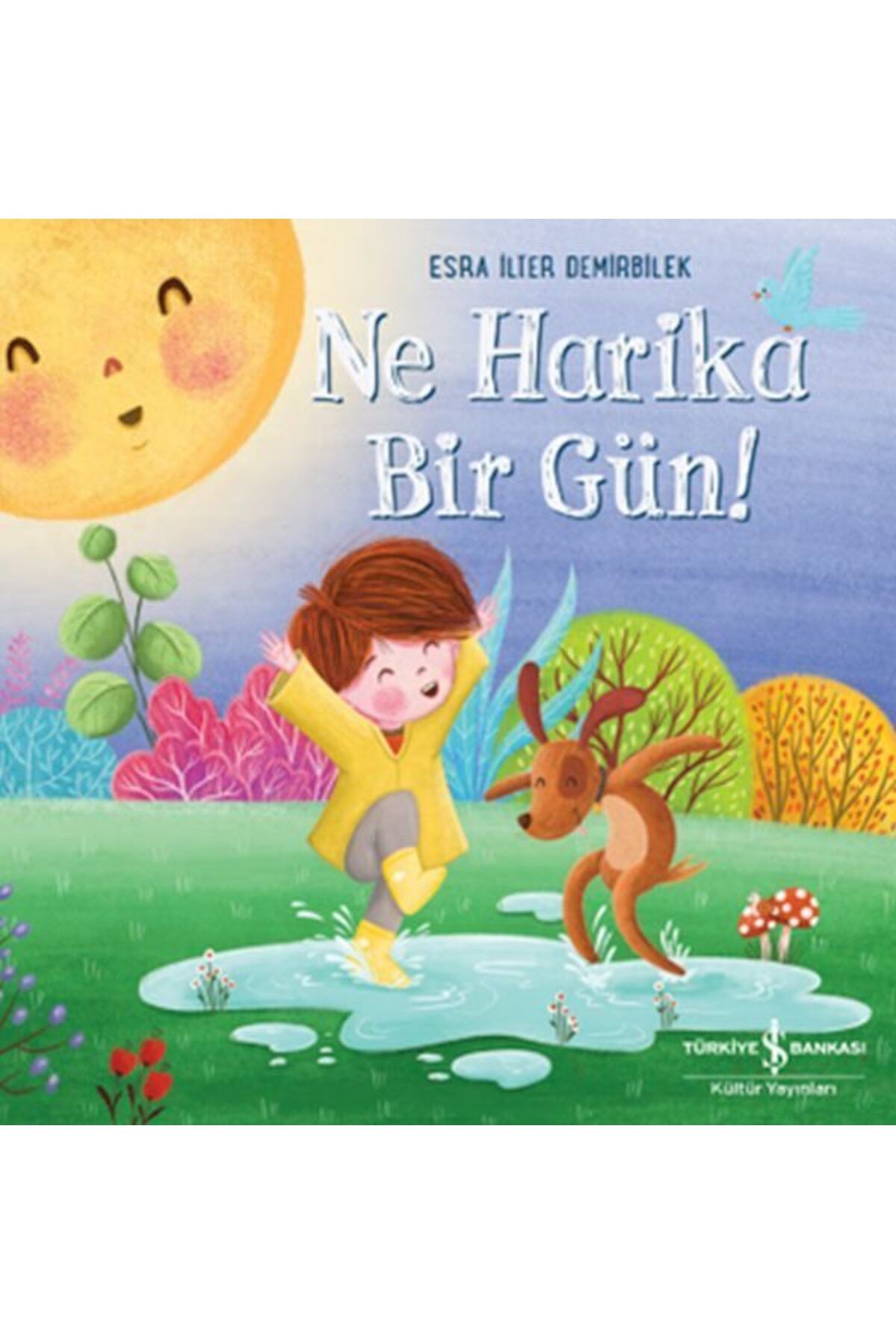 Destek Yayınları Ne Harika Bir Gün