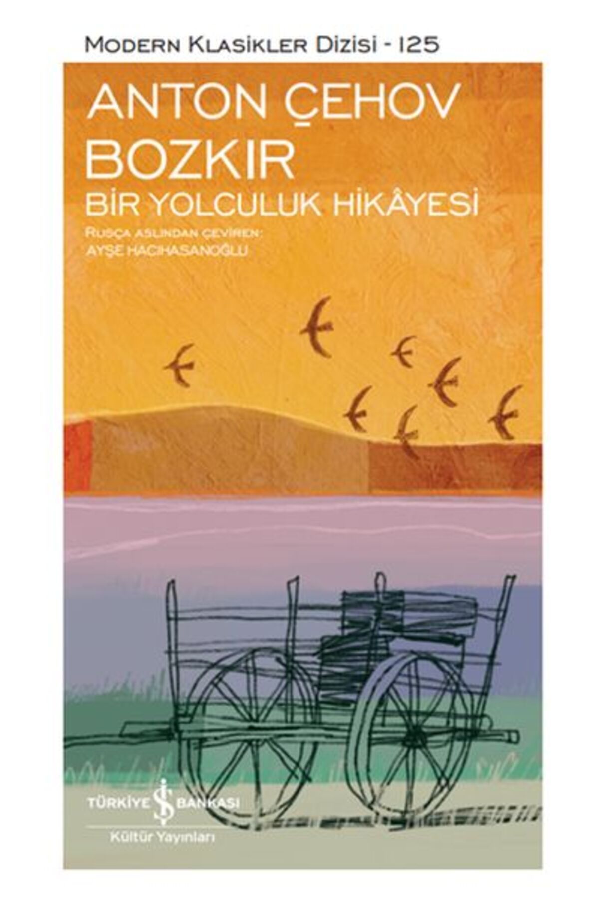 Destek Yayınları Bozkır Bir Yolculuk Hikayesi Modern Klasikler Dizisi Şömizli