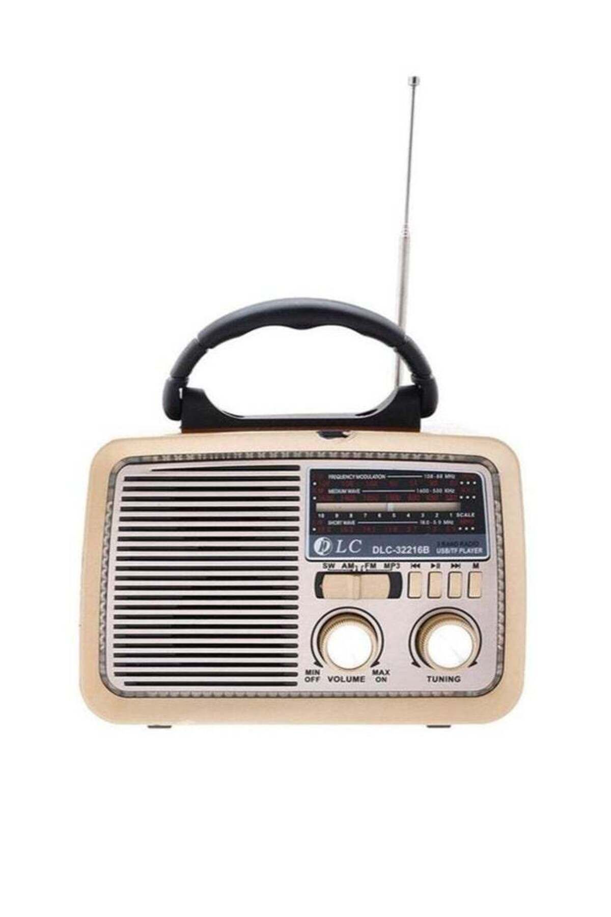 DLC-Portable radio with rechargeable battery technology, supports bluetooth connection, model 32216B 2
