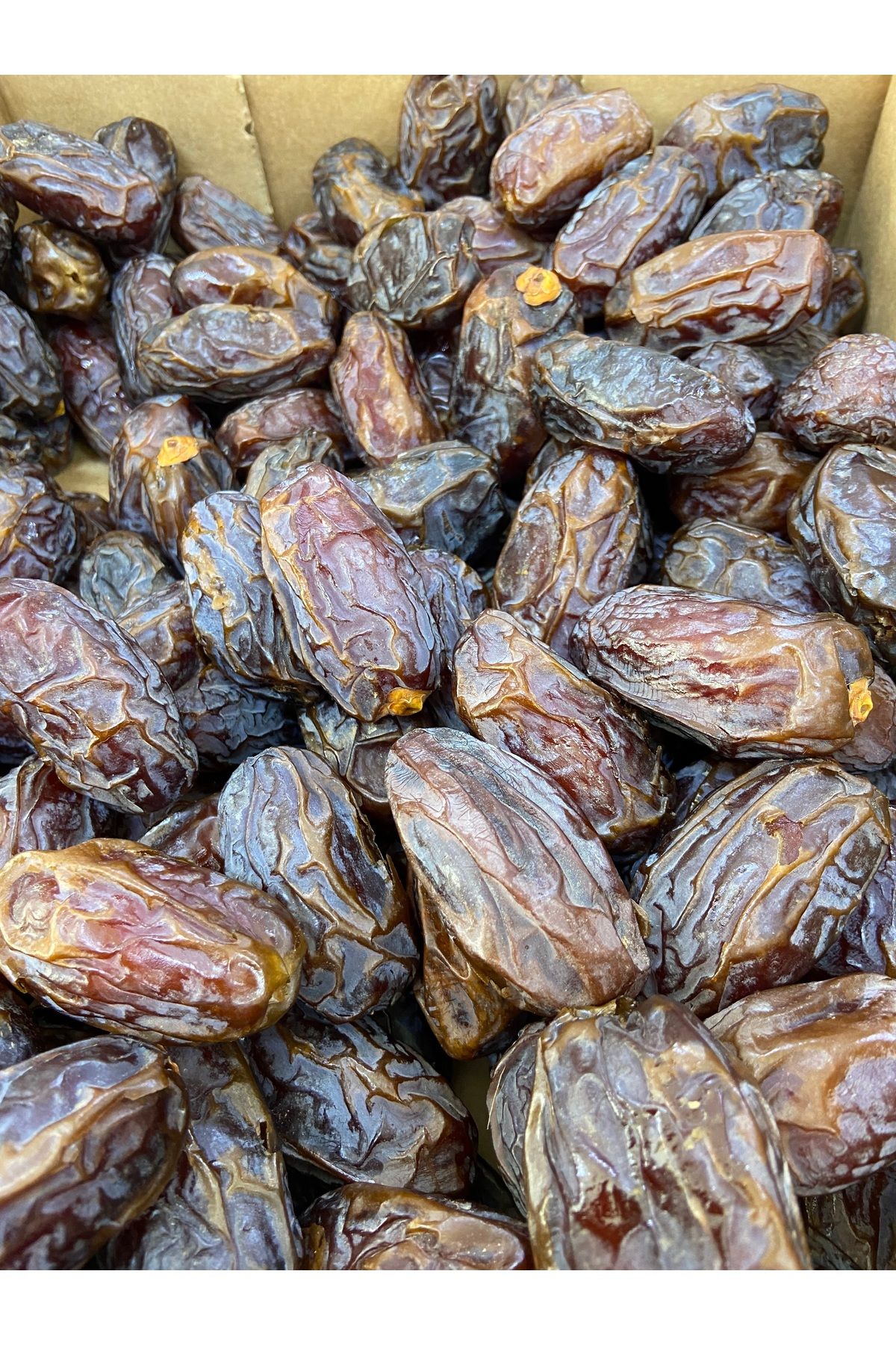 MAKSUT BAKLİYAT Jumbo Boy Kudüs Hurma 5 Kg