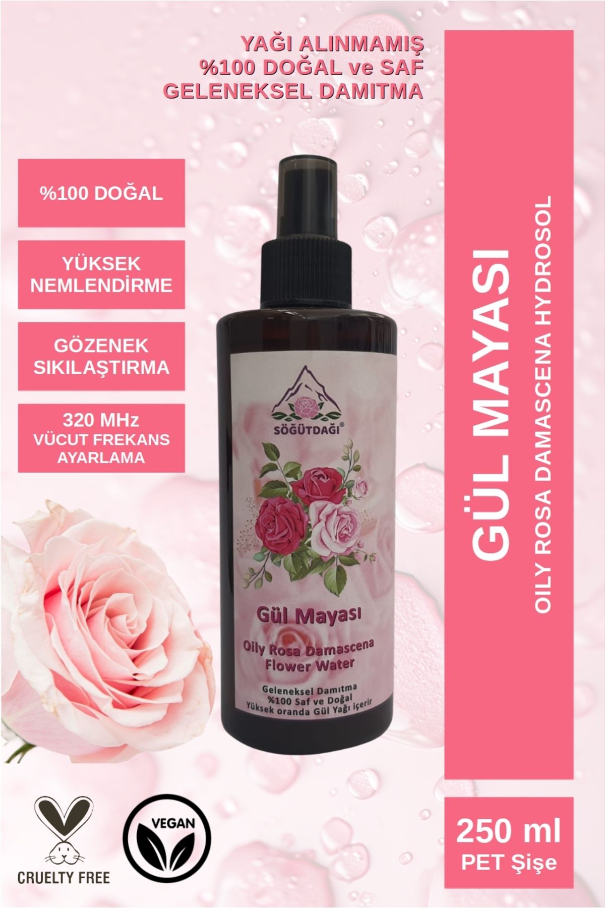 SÖĞÜTDAĞI GÜL MAYASI