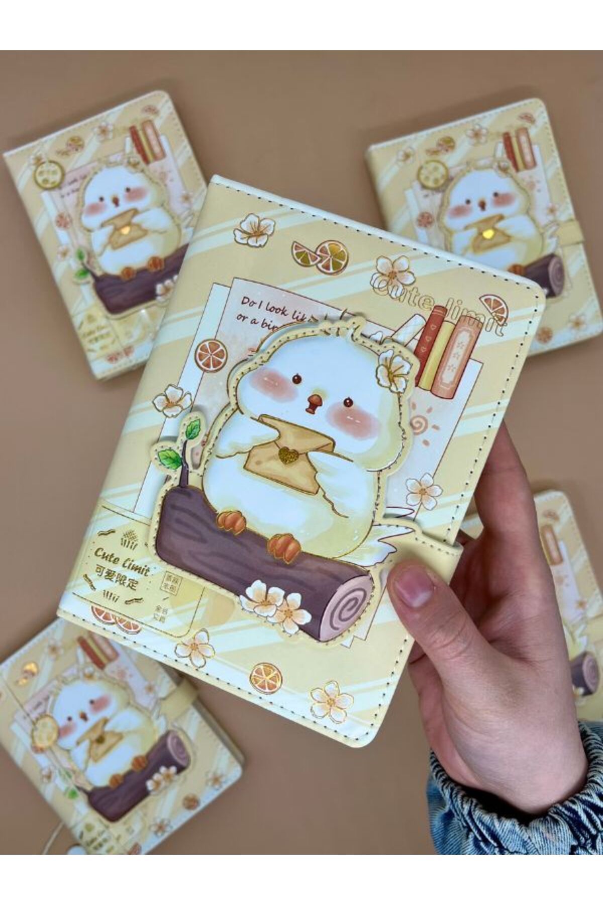 Kağıt Gemi Dükkan Sevimli Kuş Özel Tasarım Renkli Resimli Defter/Notebook/Günlük/Bullet Journal
