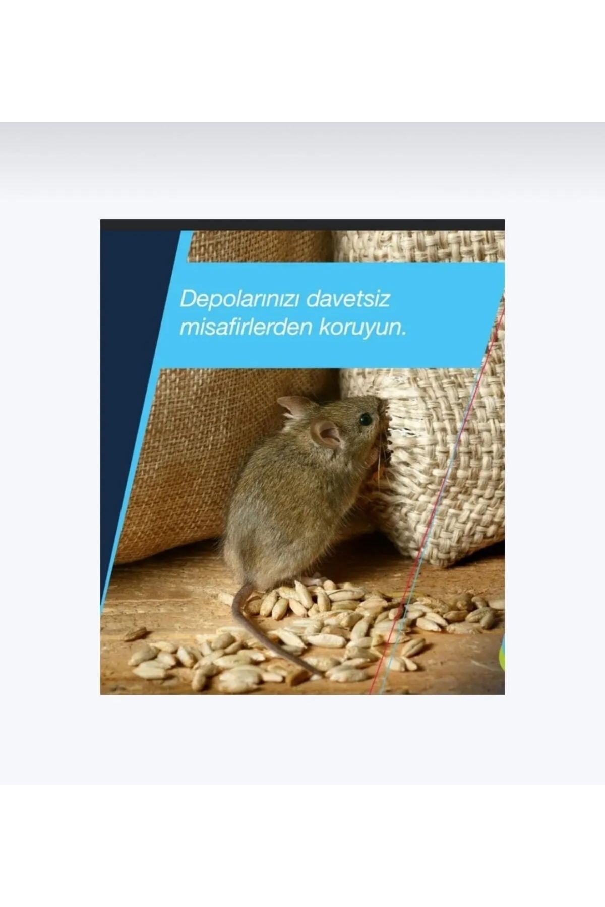 UCF Ziraat Fare Zehiri Fare Ilacı 3 Karışım Zehirli Çekici Buğdaylar 3KG