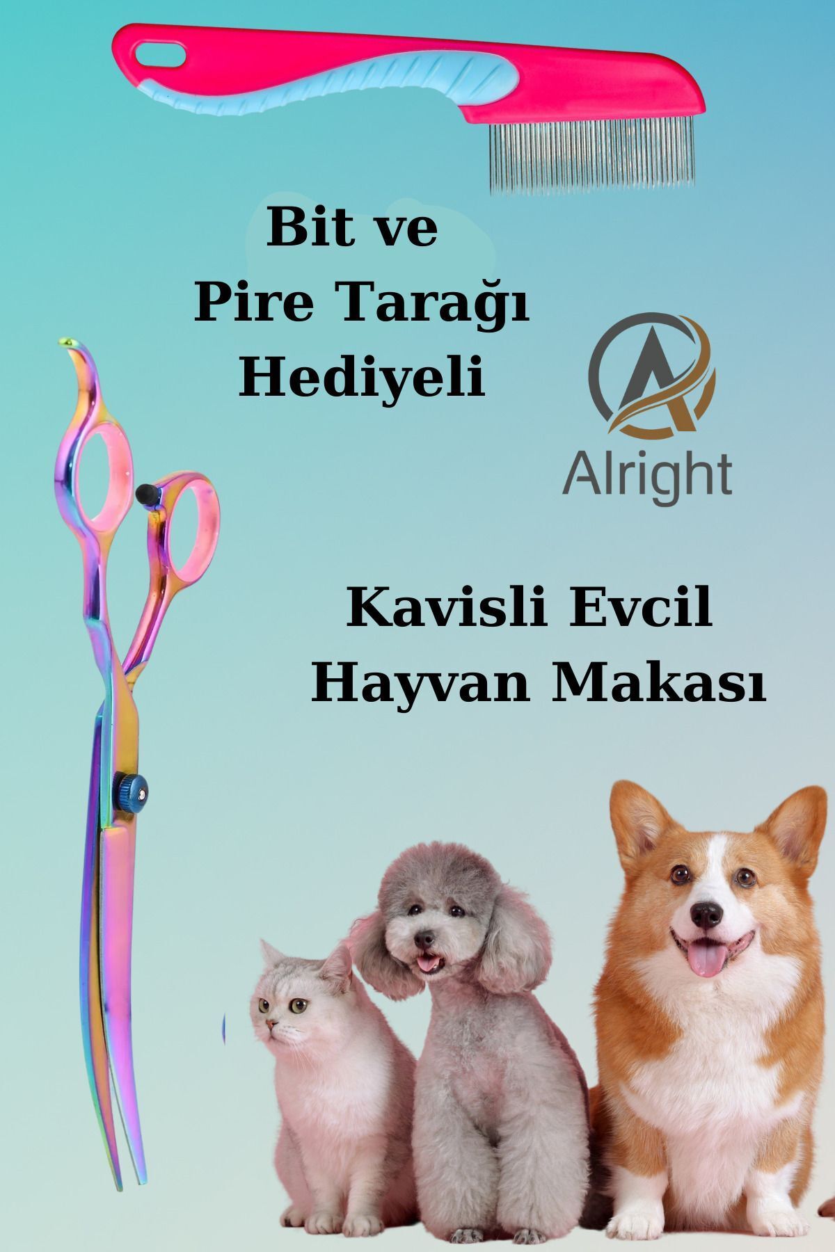 Alright Kavisli Rainbow Profesyonel Evcil Hayvan Kedi ve Köpek Tasarım Makası Bit ve Pire Tarağı Hediyeli