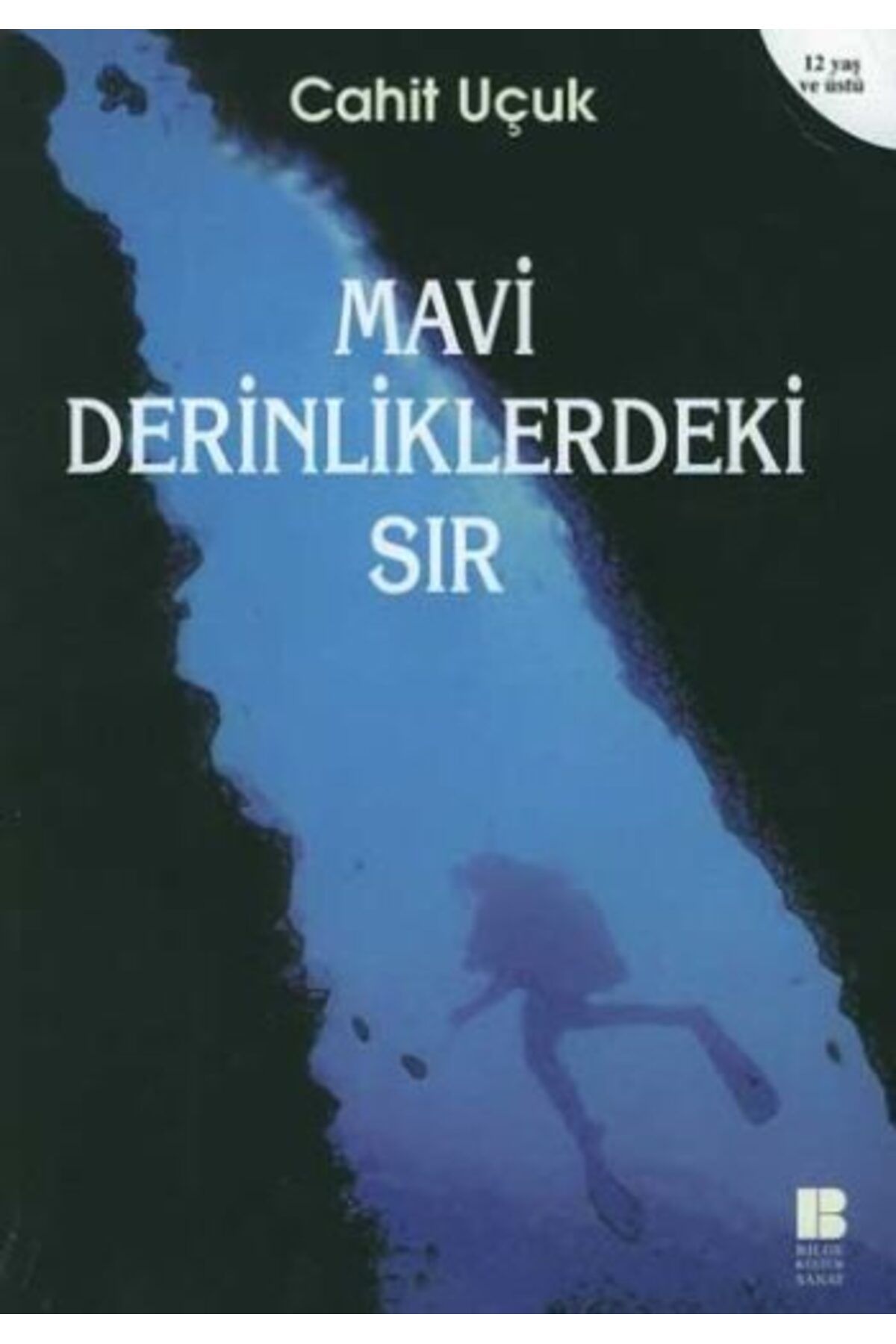 Destek Yayınları Mavi Derinliklerdeki Sır