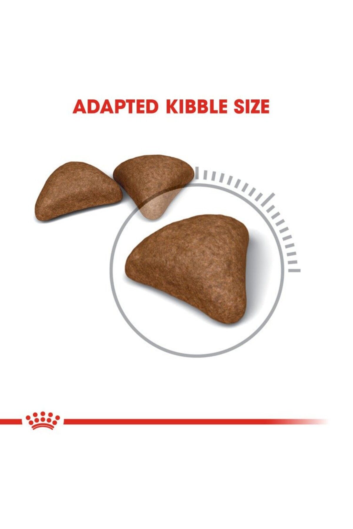 Royal Canin-Royal Canin Hairball Care 400 gm, Feline Breed Nutrition Cat Food 6