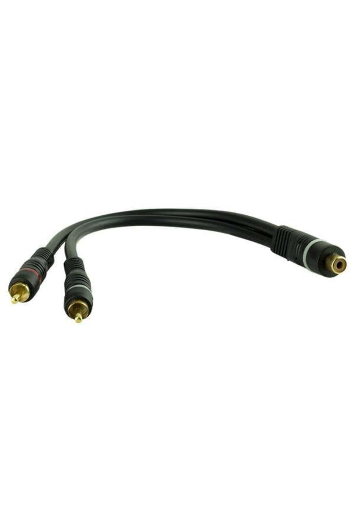 Pİ GLOBAL Kablo Anfi Y 1 Dişi -2 Erkek 25 Cm