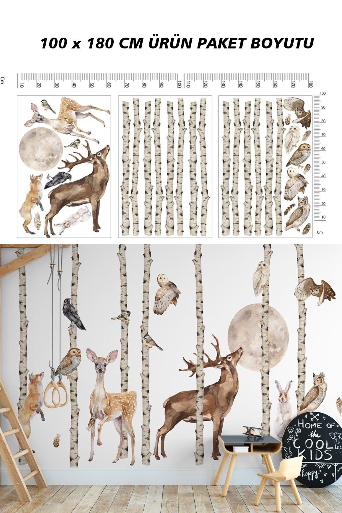 KT Decor Woodland Orman Arkadaşları Büyülü Orman Duvar Sticker Seti