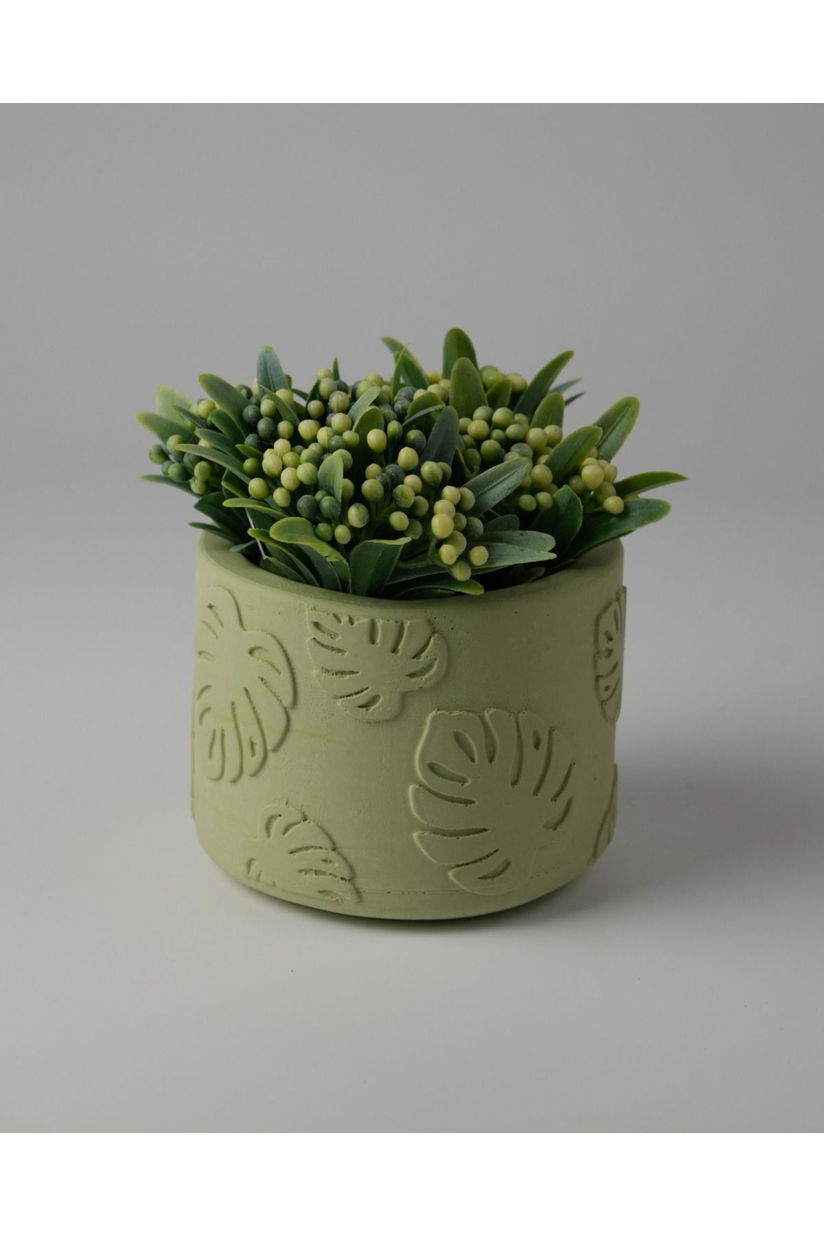 Kaju Creative Dekoratif Beton Saksı -Monstera 7,5x10 0.25L Küçük Boy Saksı