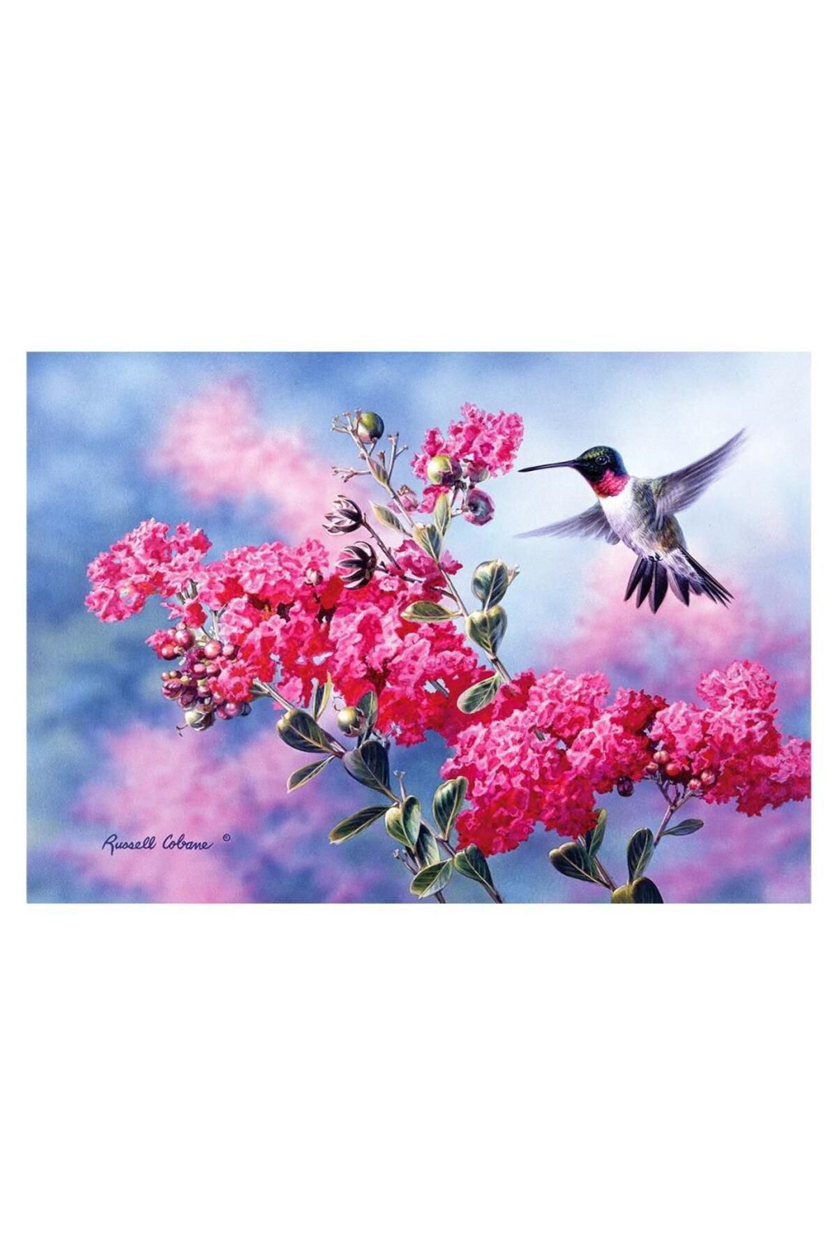 Skygo KS Merops 1500 Parça Puzzle