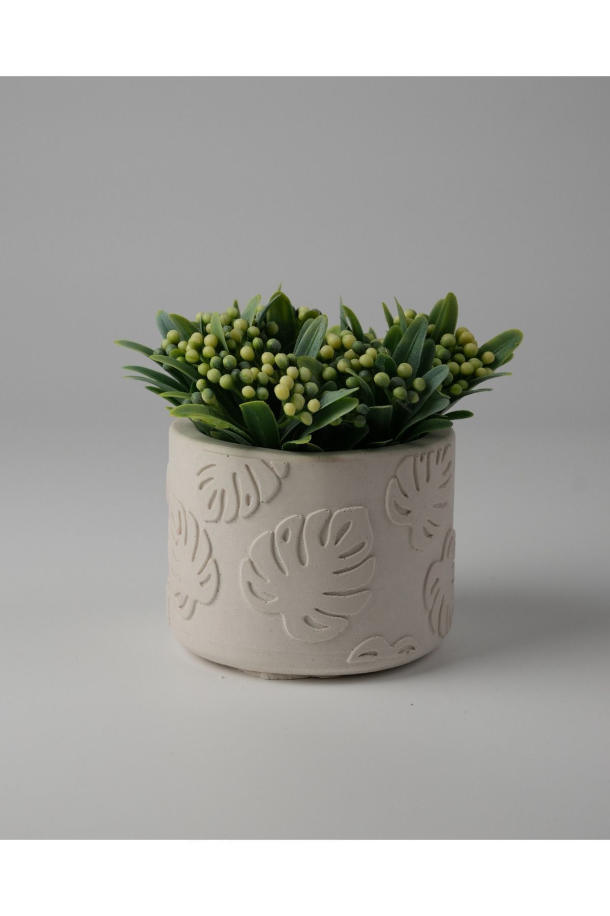 Kaju Creative Dekoratif Beton Saksı -Monstera 7,5x10 0.25L Küçük Boy Saksı
