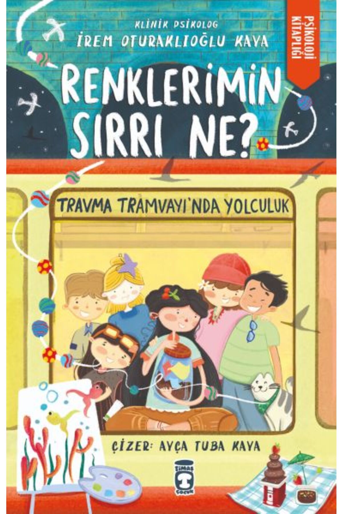 Destek Yayınları Renklerimin Sırrı Ne