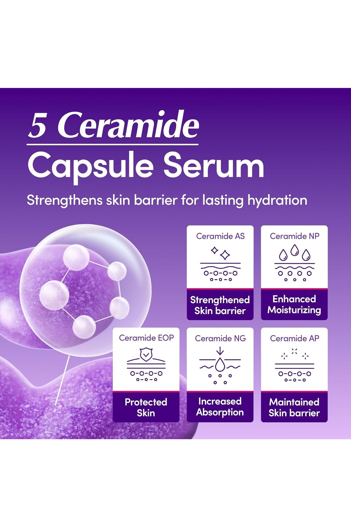 EQQUALBERRY Bakuchiol Plumping Serum 30ml | Natural Anti-Aging & Moisturizer with Niacinamide