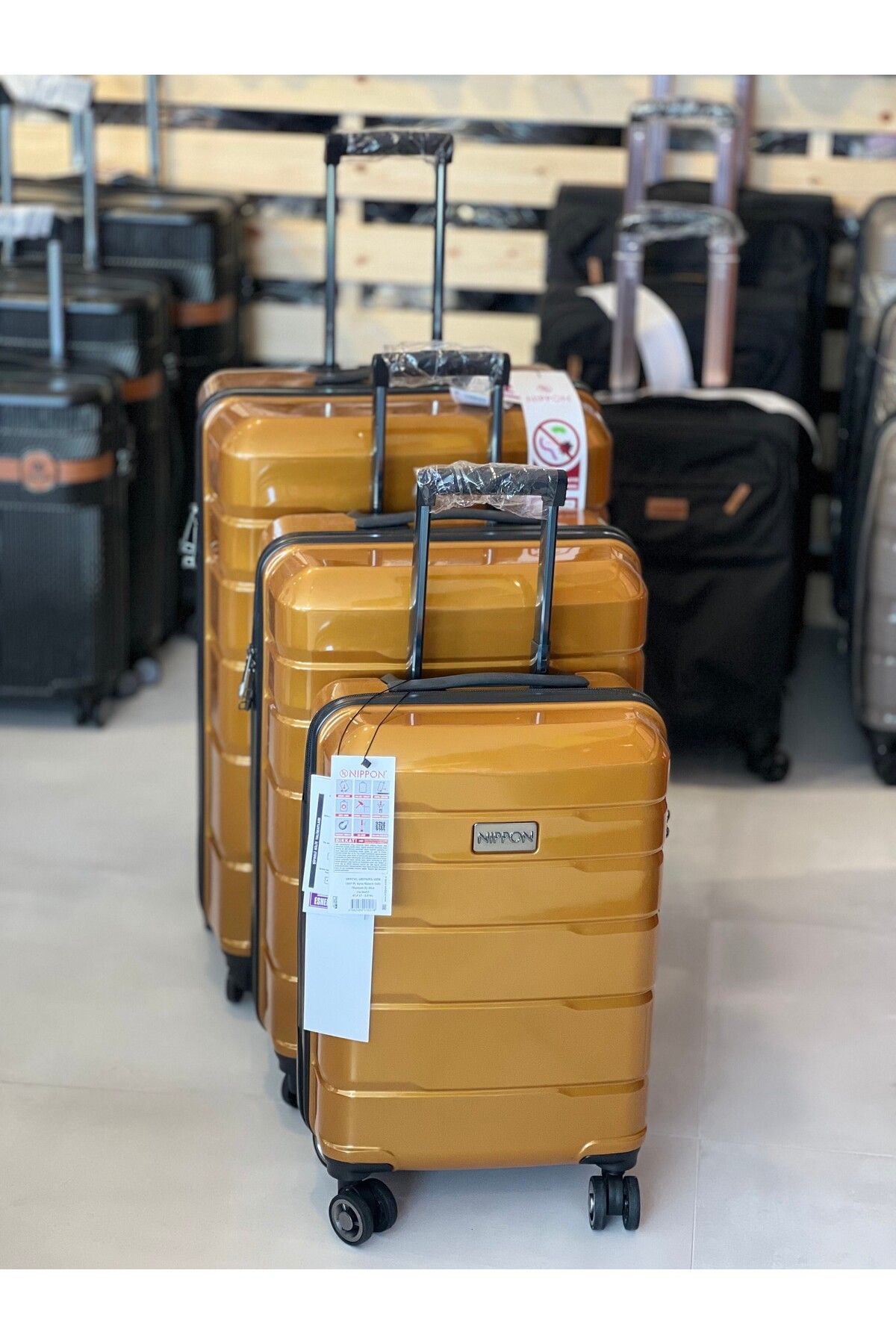NIPPON Polikarbon Bal Rengi Valiz 3'lü Set