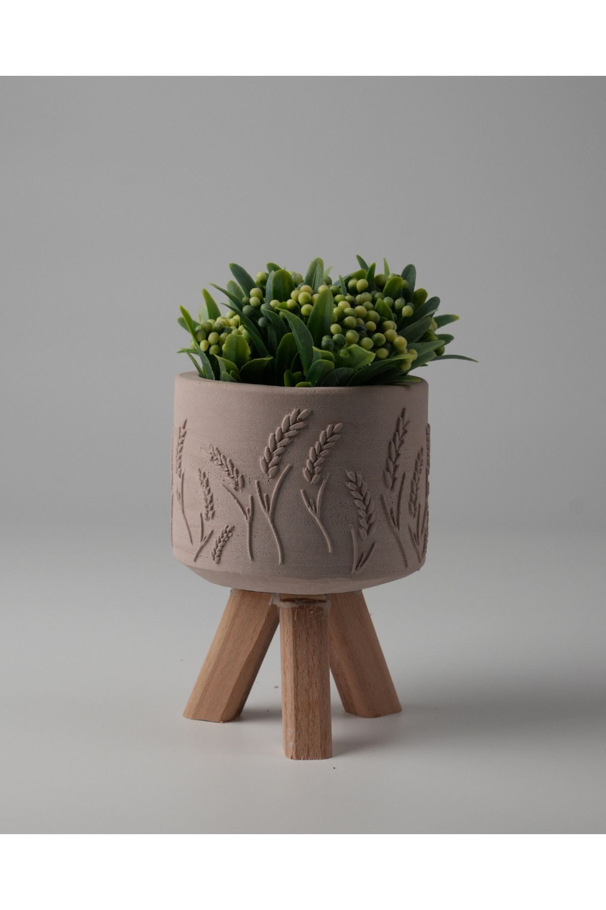 Kaju Creative Dekoratif Beton Saksı -Buğday 7,5x12 0.25L Küçük Ahşap Ayaklı Saksı