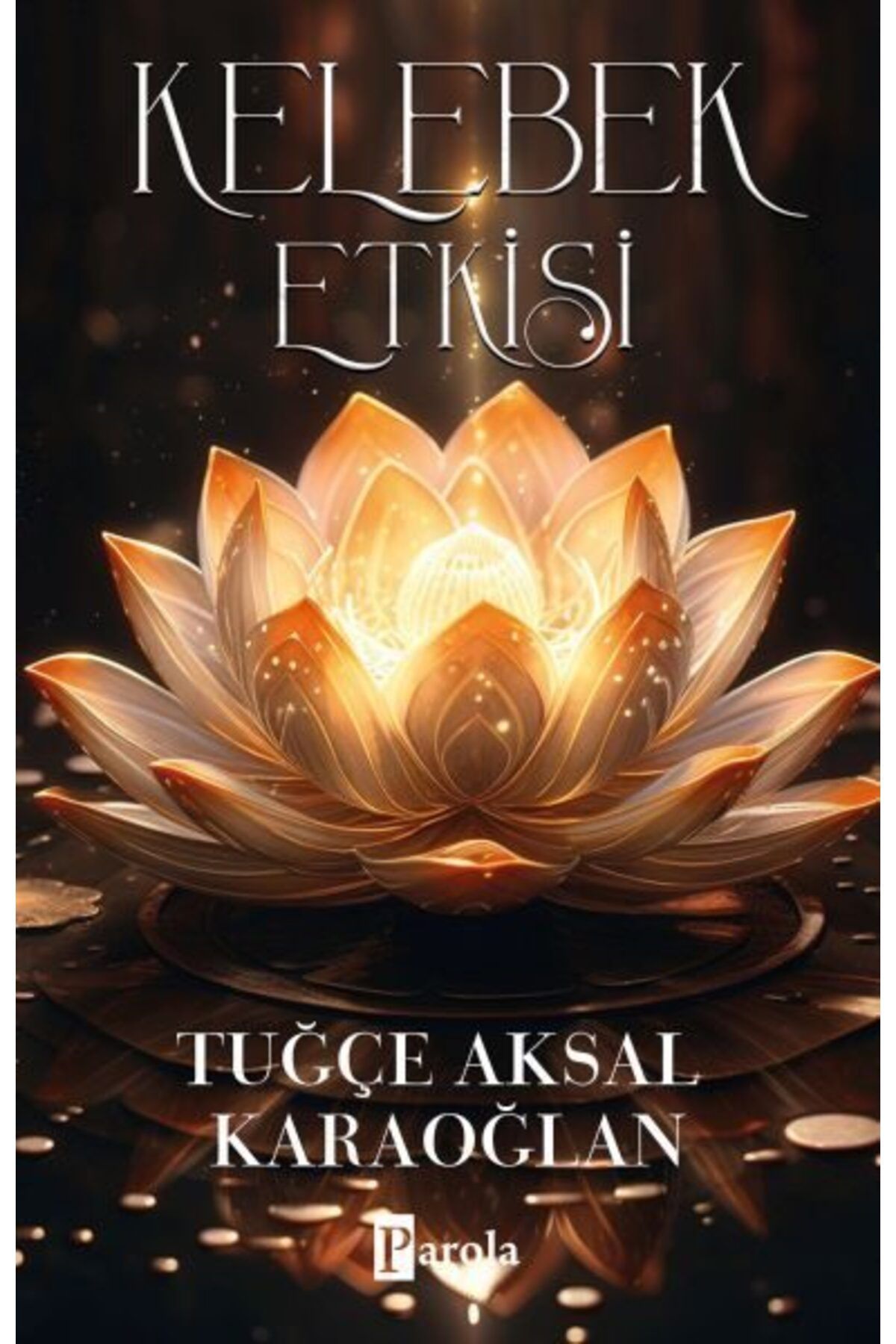 Destek Yayınları Kelebek Etkisi