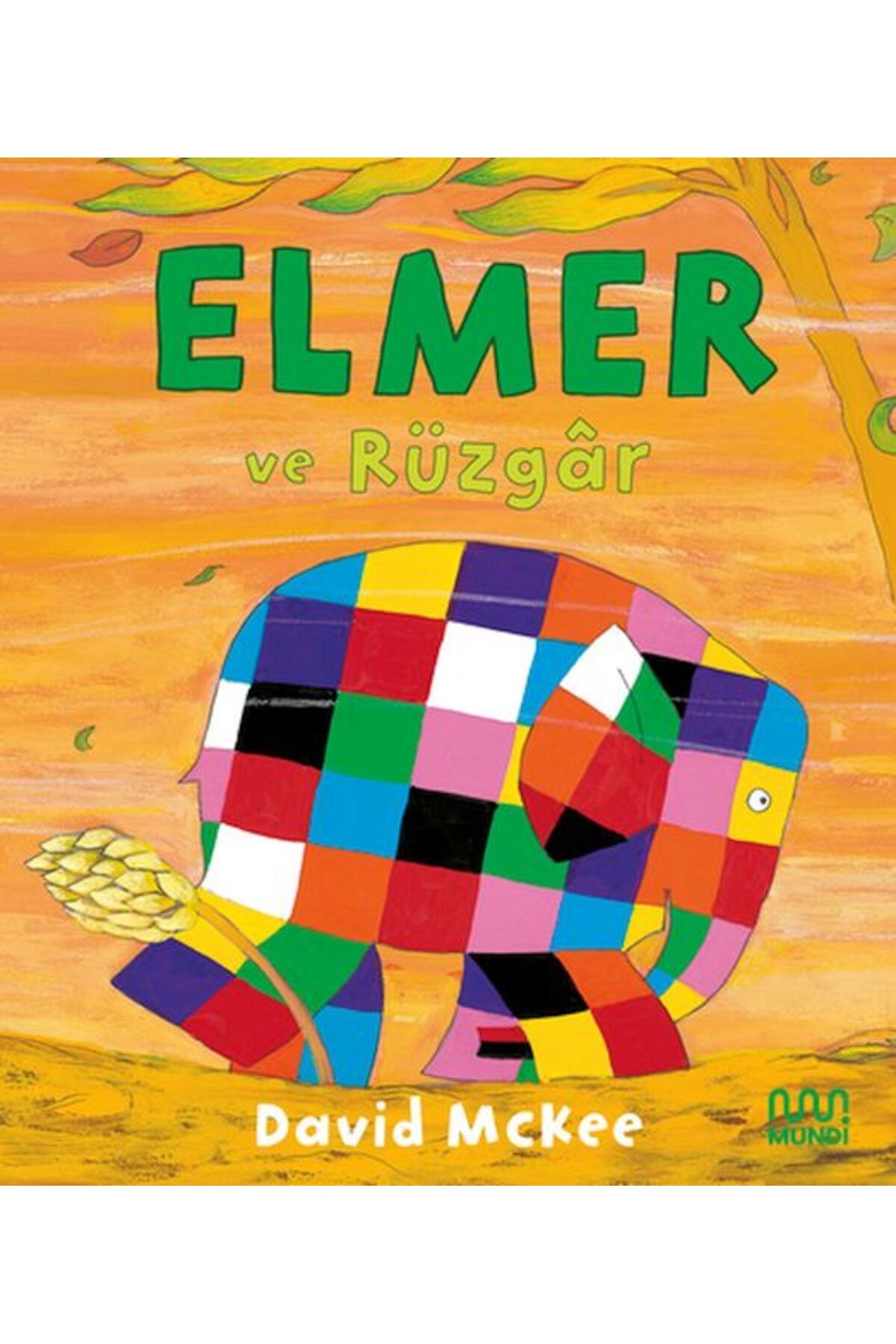 Destek Yayınları Elmer ve Rüzgr