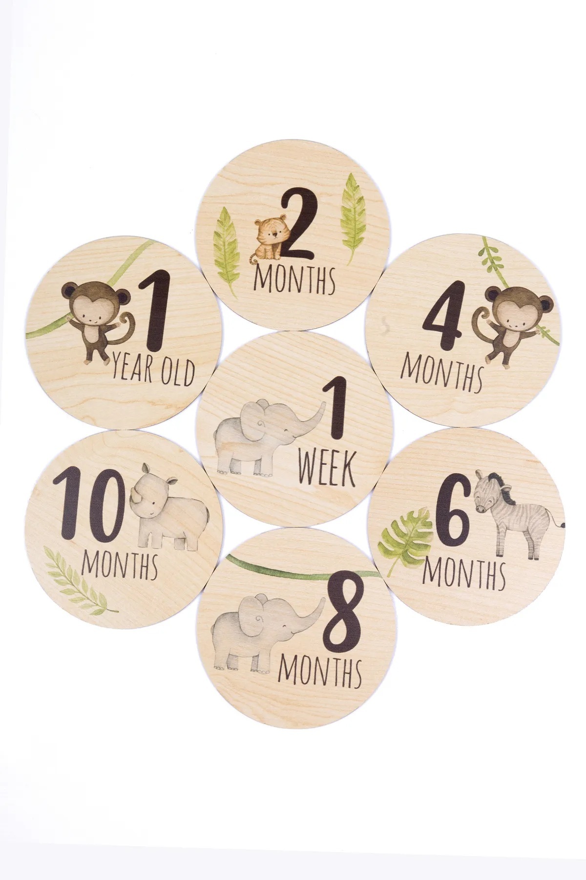Genel Markalar Safari Ahşap Bebek Anı Diskleri ingilizce Fotoğraf Çekim Kartları fotoğrafı 4 (önizleme)