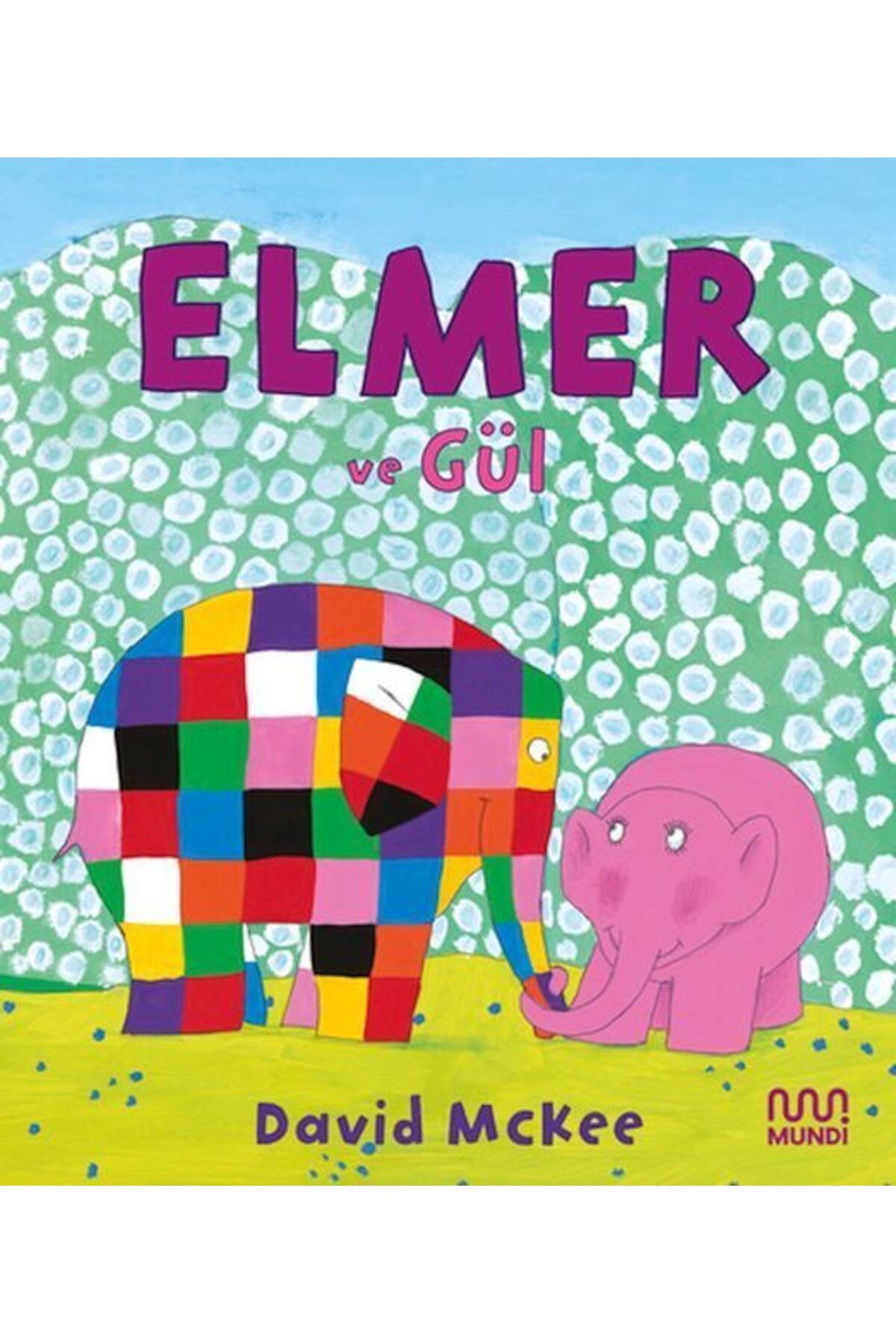 Destek Yayınları Elmer ve Gül