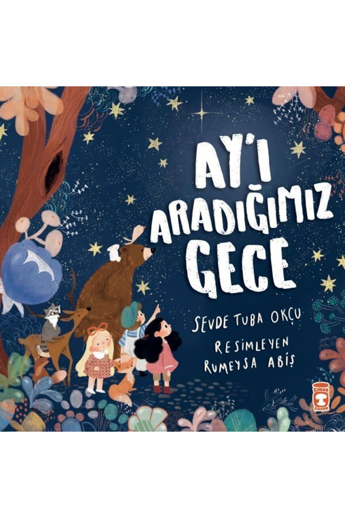 Destek Yayınları Ayı Aradığımız Gece