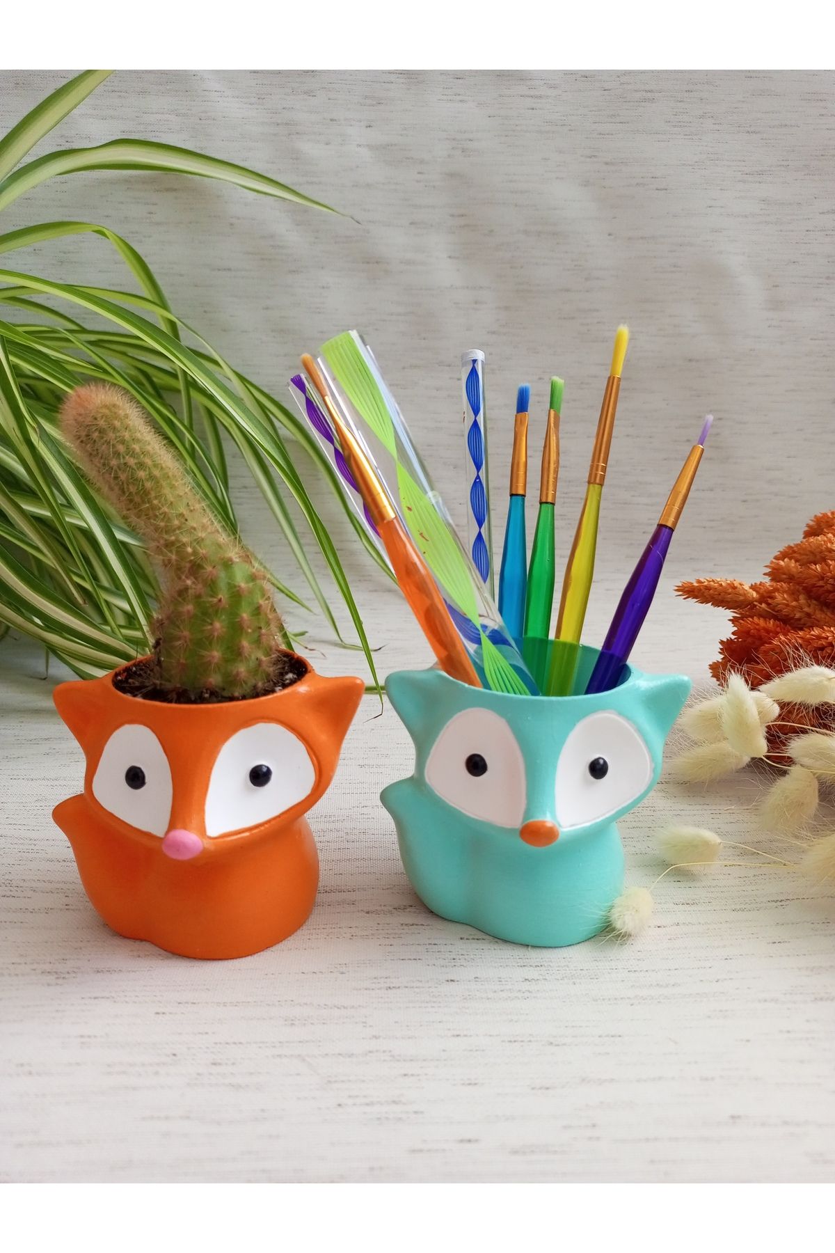 Home Tilki Dekoratif Kaktüs Saksı \ Kaktüs