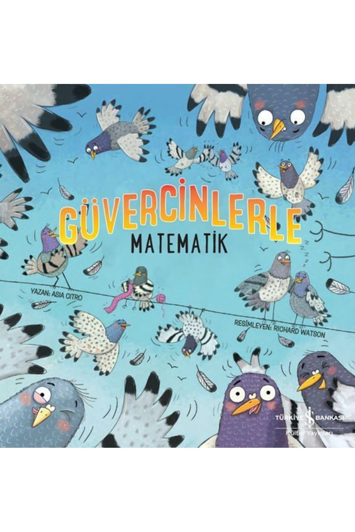 Destek Yayınları Güvercinlerle Matematik
