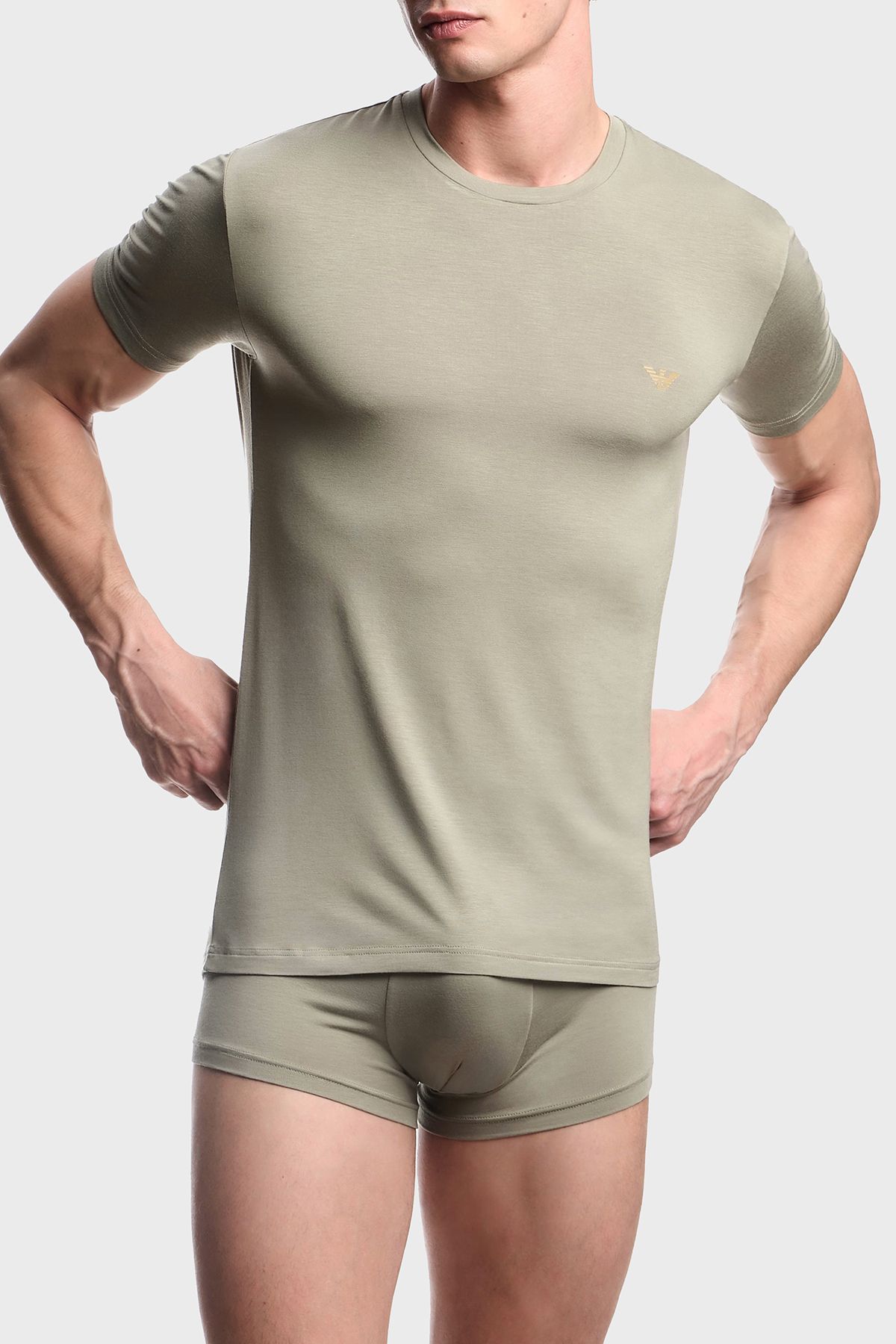 Emporio Armani Slim Fit Bisiklet Yaka Logolu 2 Pack T Shirt Erkek T SHİRT EM001849 AF10787 M7003