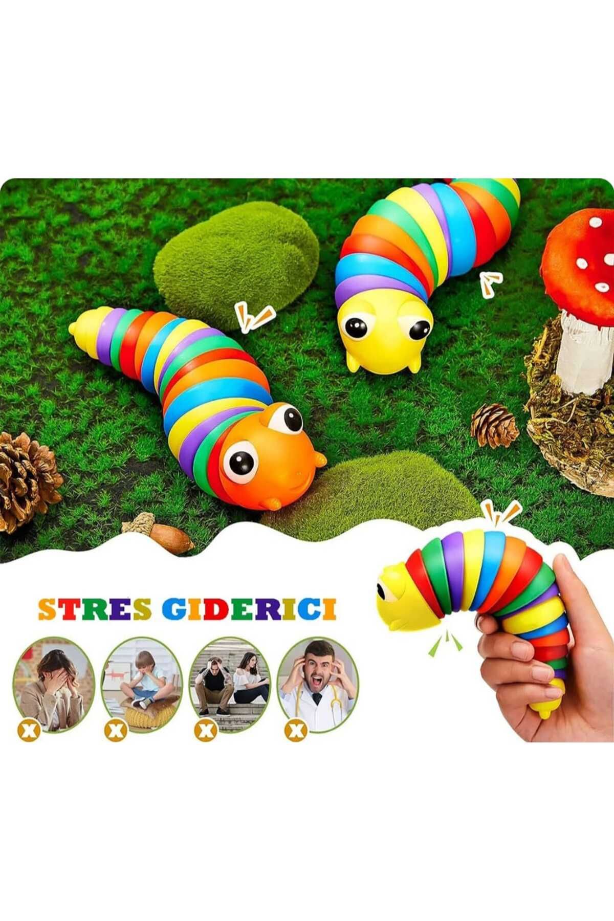 kaplantoys-Tetra Balance Game and Turtle 2