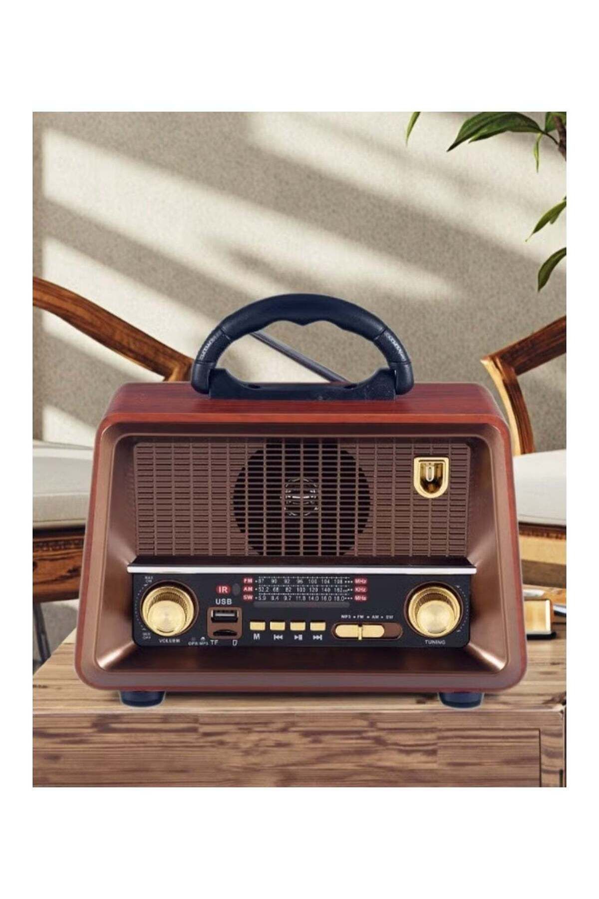 Denx-Rechargeable Radio with Remote Control, Large Capacity Battery, Portable, Classic FM Radio, Supports 5