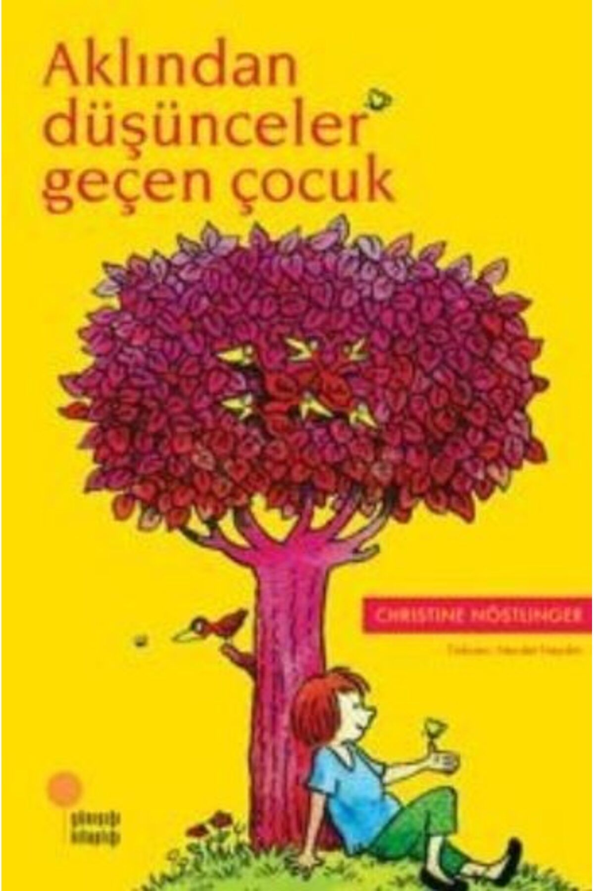 Destek Yayınları Aklından Düşünceler Geçen Çocuk