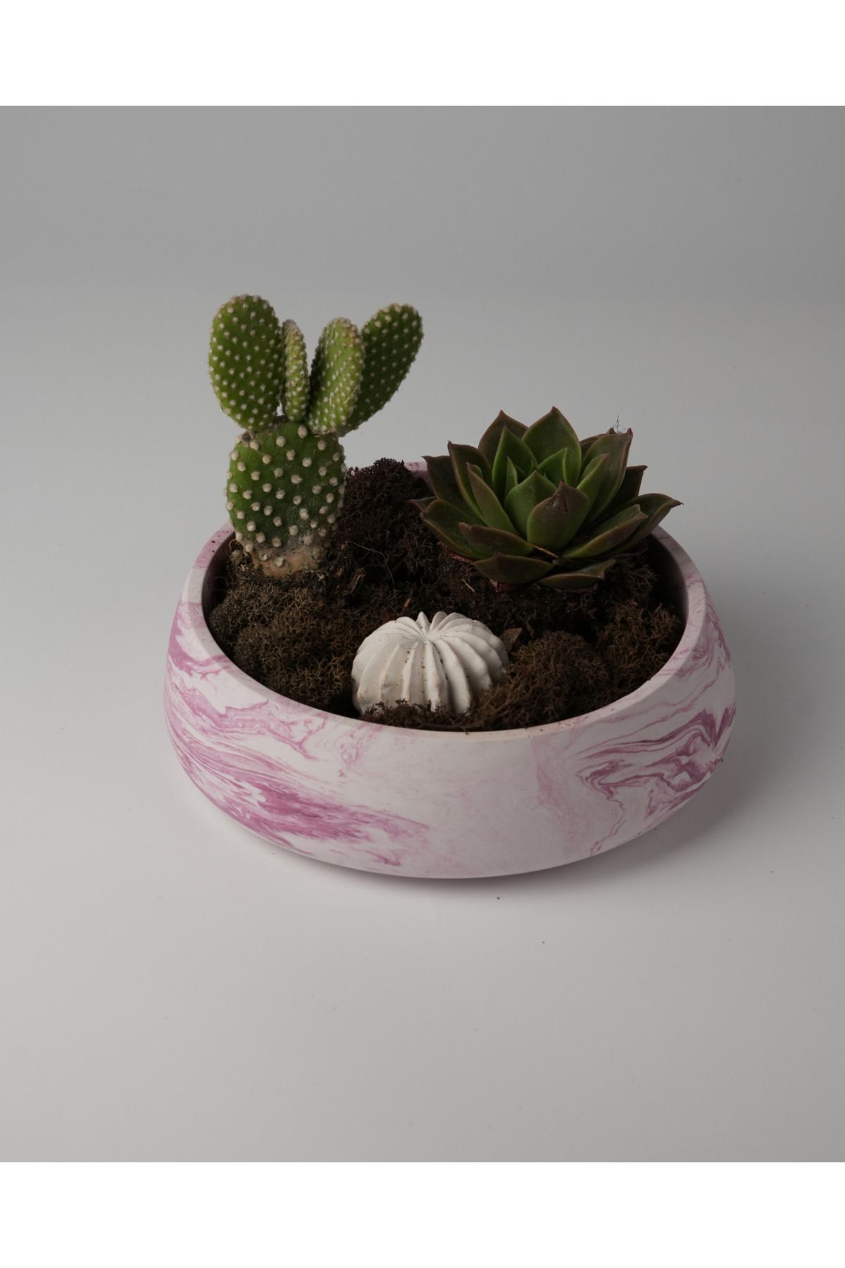 Kaju Creative Dekoratif Beton Kase - Amorf 5x19 1L- Sukulent - Mini Kaktüs - Bonsai - Aranjman Kasesi