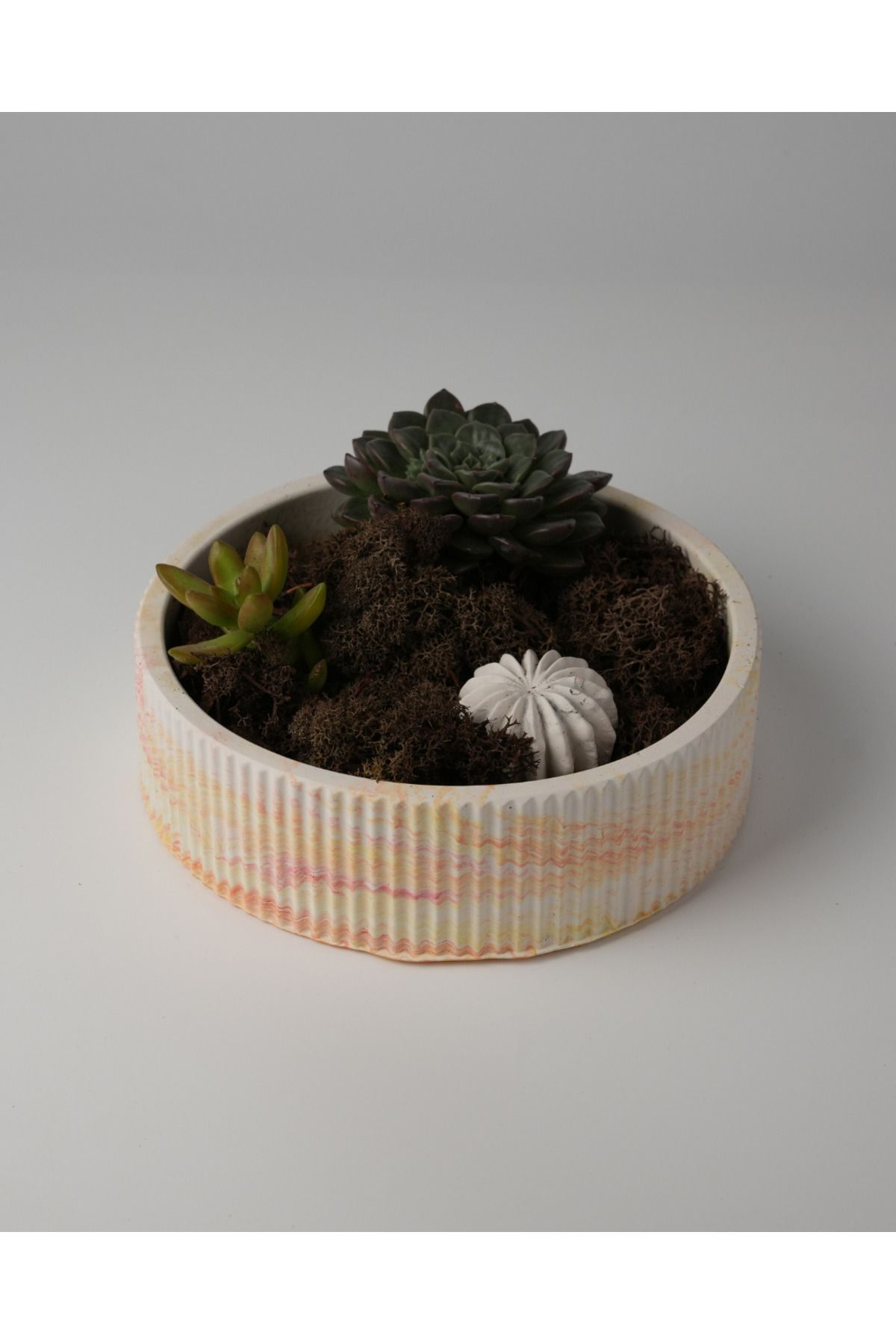 Kaju Creative Dekoratif Beton Çizgili Kase - Sukulent - Mini Kaktüs - Bonsai - Aranjman Kasesi - Büyük/Küçük