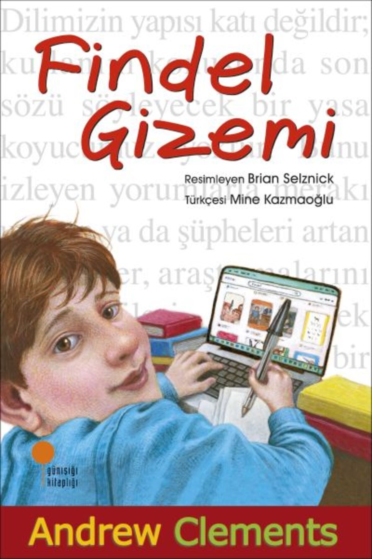 Destek Yayınları Findel Gizemi