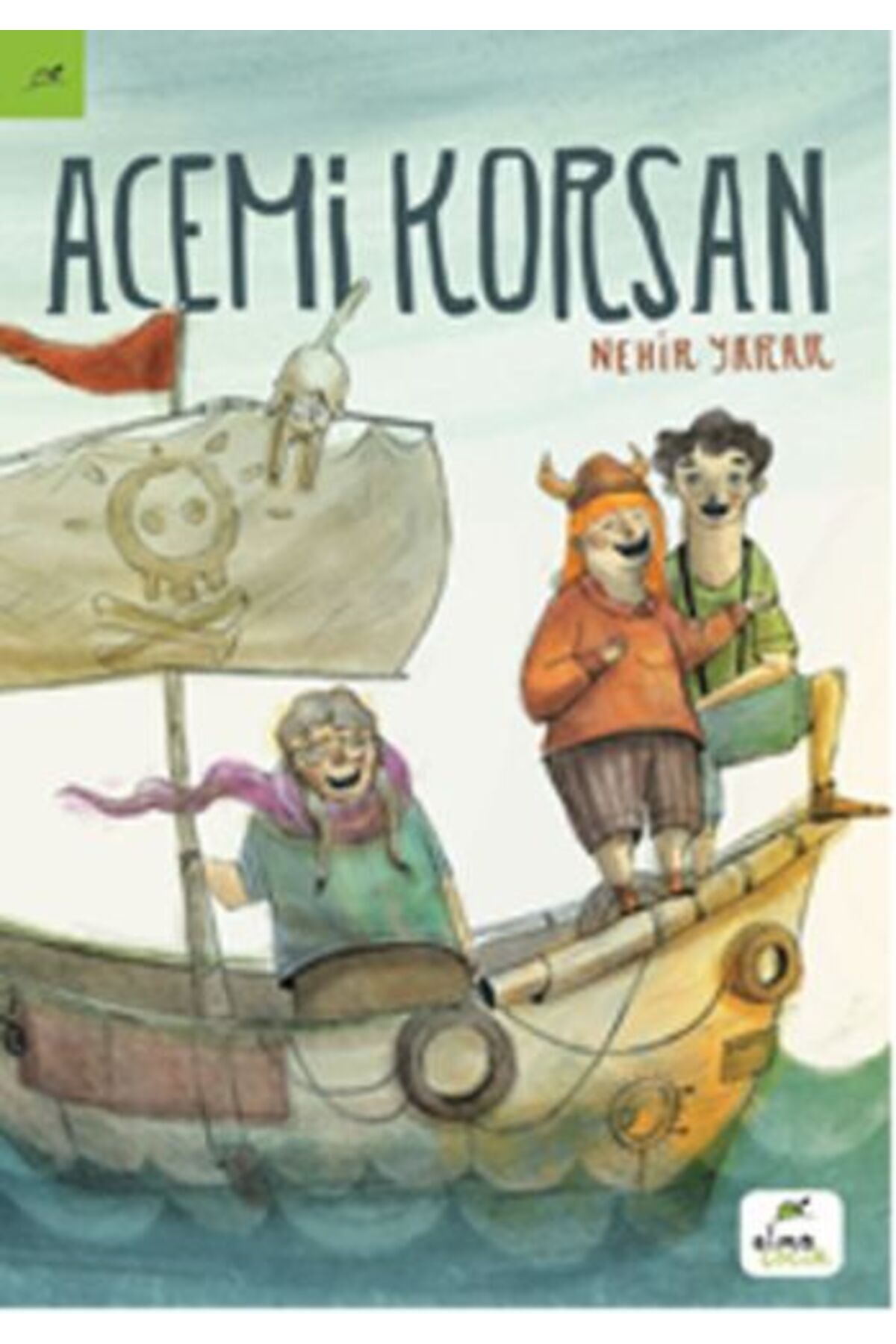 Destek Yayınları Acemi Korsan