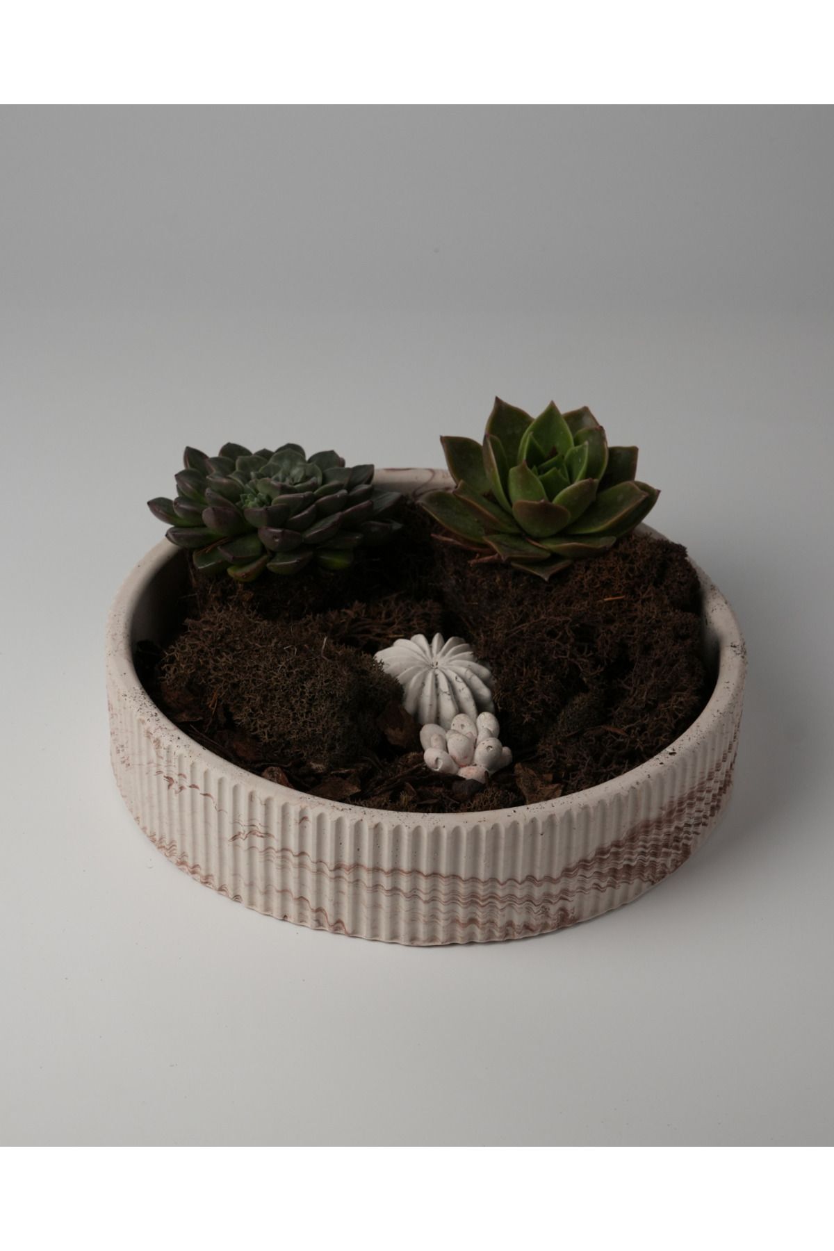 Kaju Creative Dekoratif Beton Çizgili Kase - Sukulent - Mini Kaktüs - Bonsai - Aranjman Kasesi - Büyük/Küçük