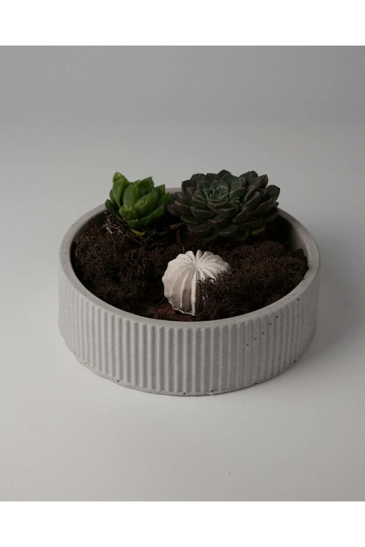 Kaju Creative Dekoratif Beton Çizgili Kase - Sukulent - Mini Kaktüs - Bonsai - Aranjman Kasesi - Büyük/Küçük