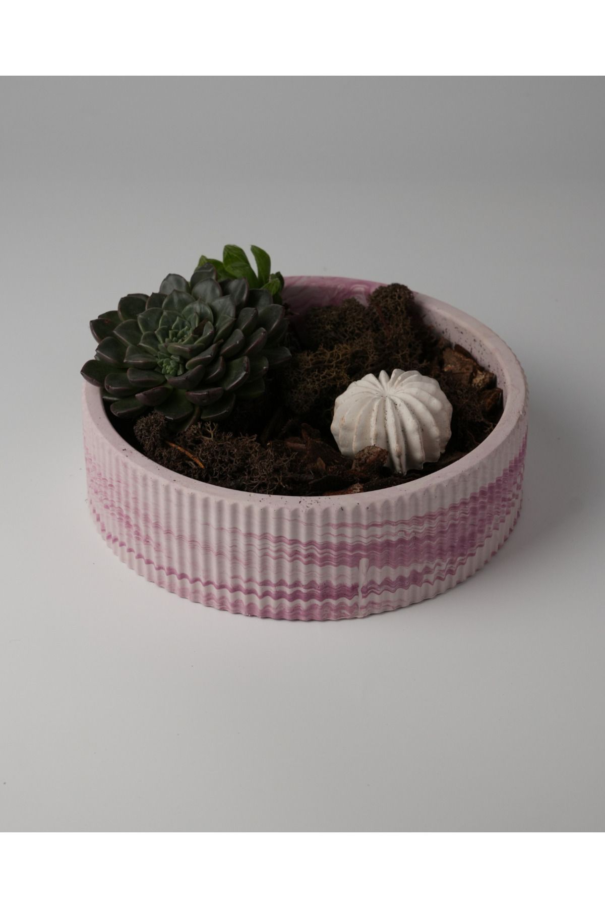 Kaju Creative Dekoratif Beton Çizgili Kase - Sukulent - Mini Kaktüs - Bonsai - Aranjman Kasesi - Büyük/Küçük