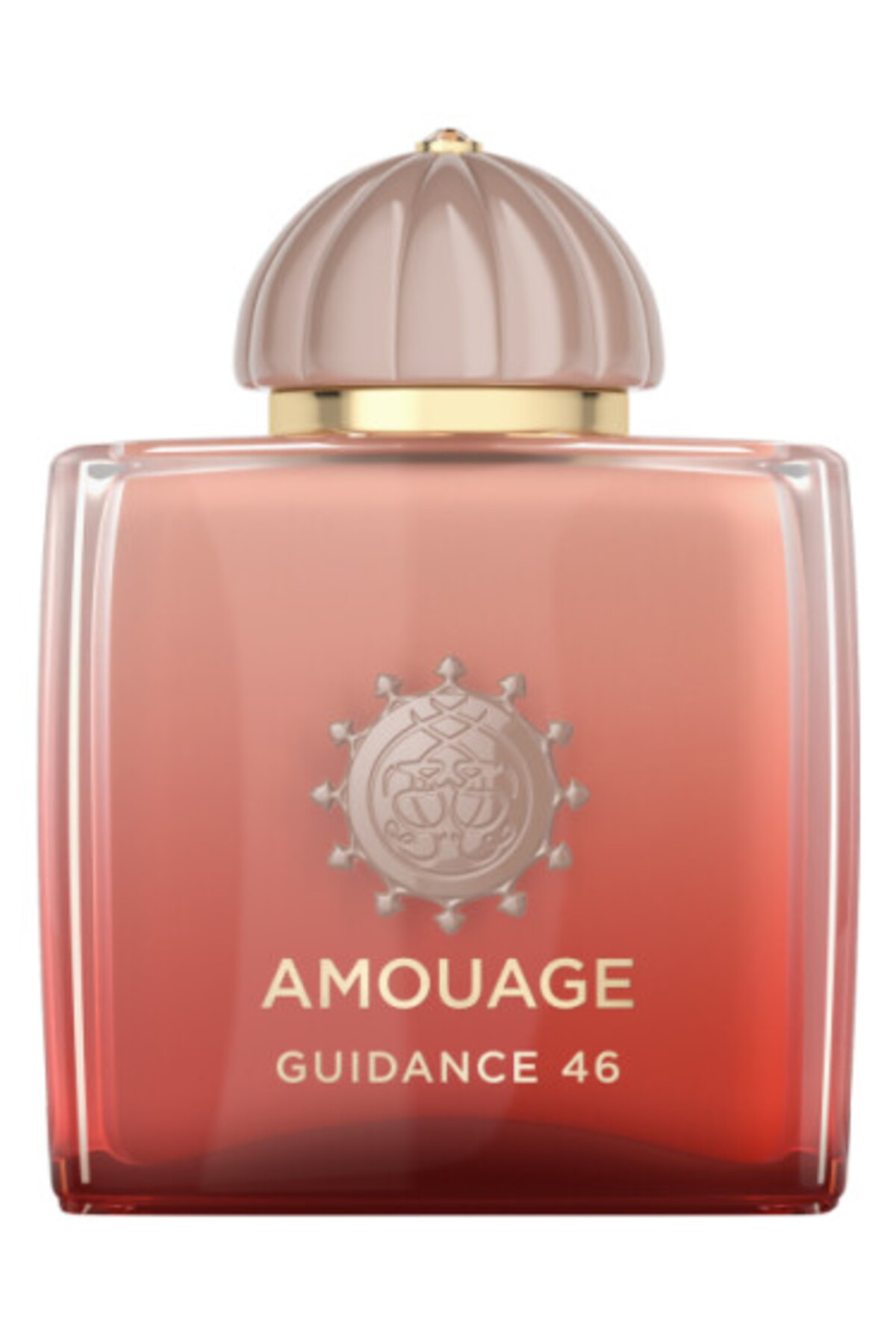 Amouage Amouage Guidance 46 For Unisex Extrait De Parfum 100ml