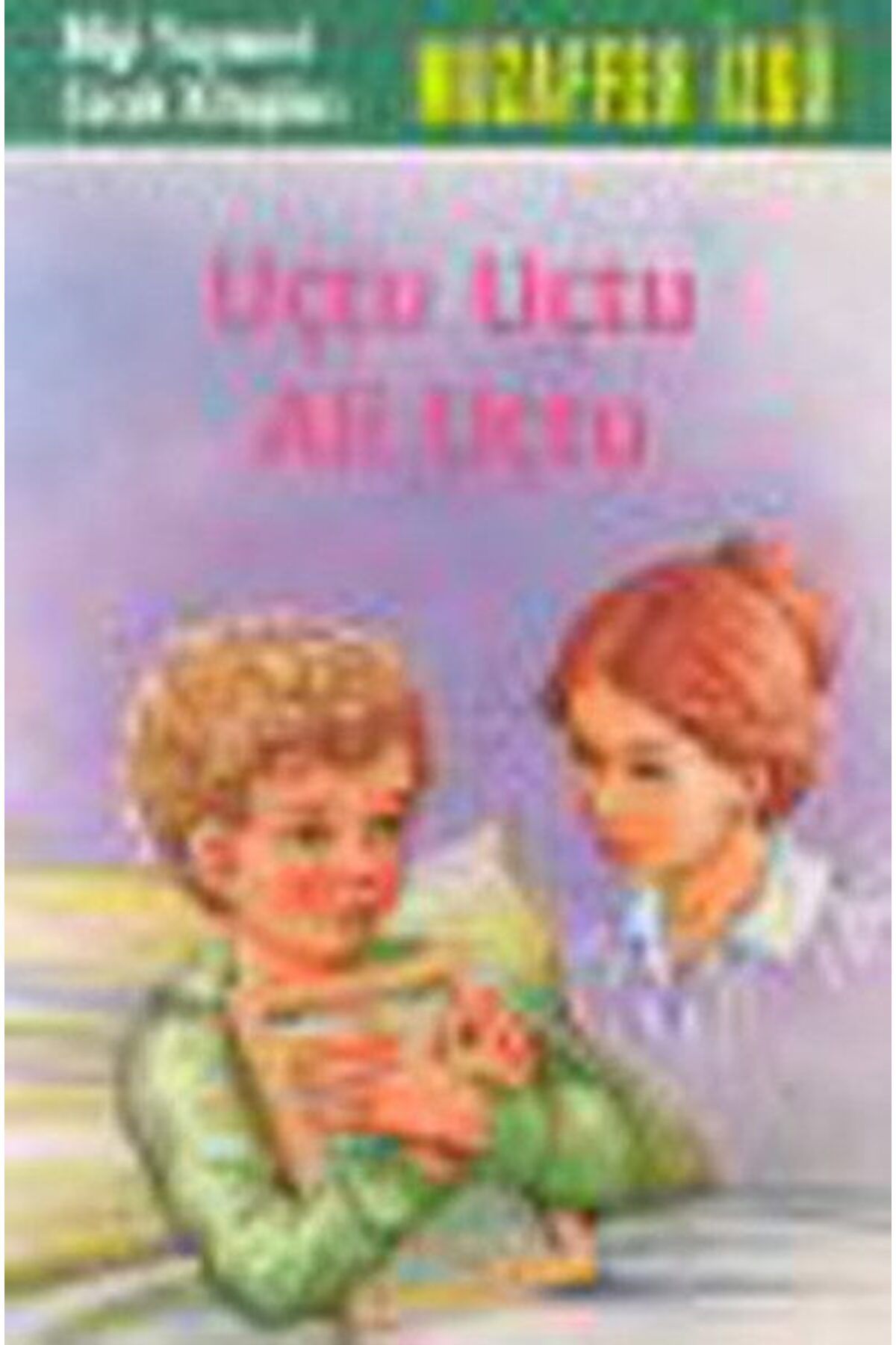 Destek Yayınları Uçtu Uçtu Ali Uçtu