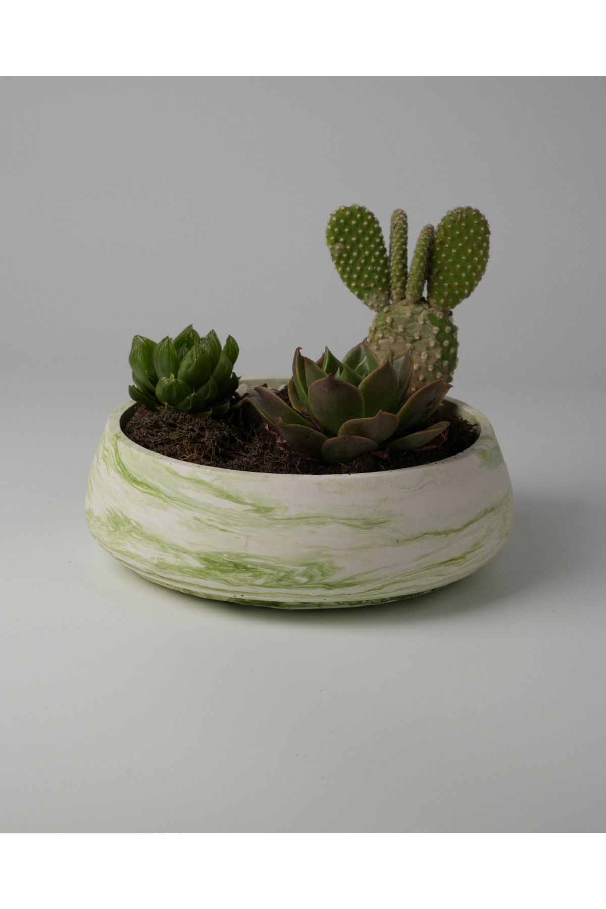 Kaju Creative Dekoratif Beton Kase - Amorf 5x19 1L- Sukulent - Mini Kaktüs - Bonsai - Aranjman Kasesi