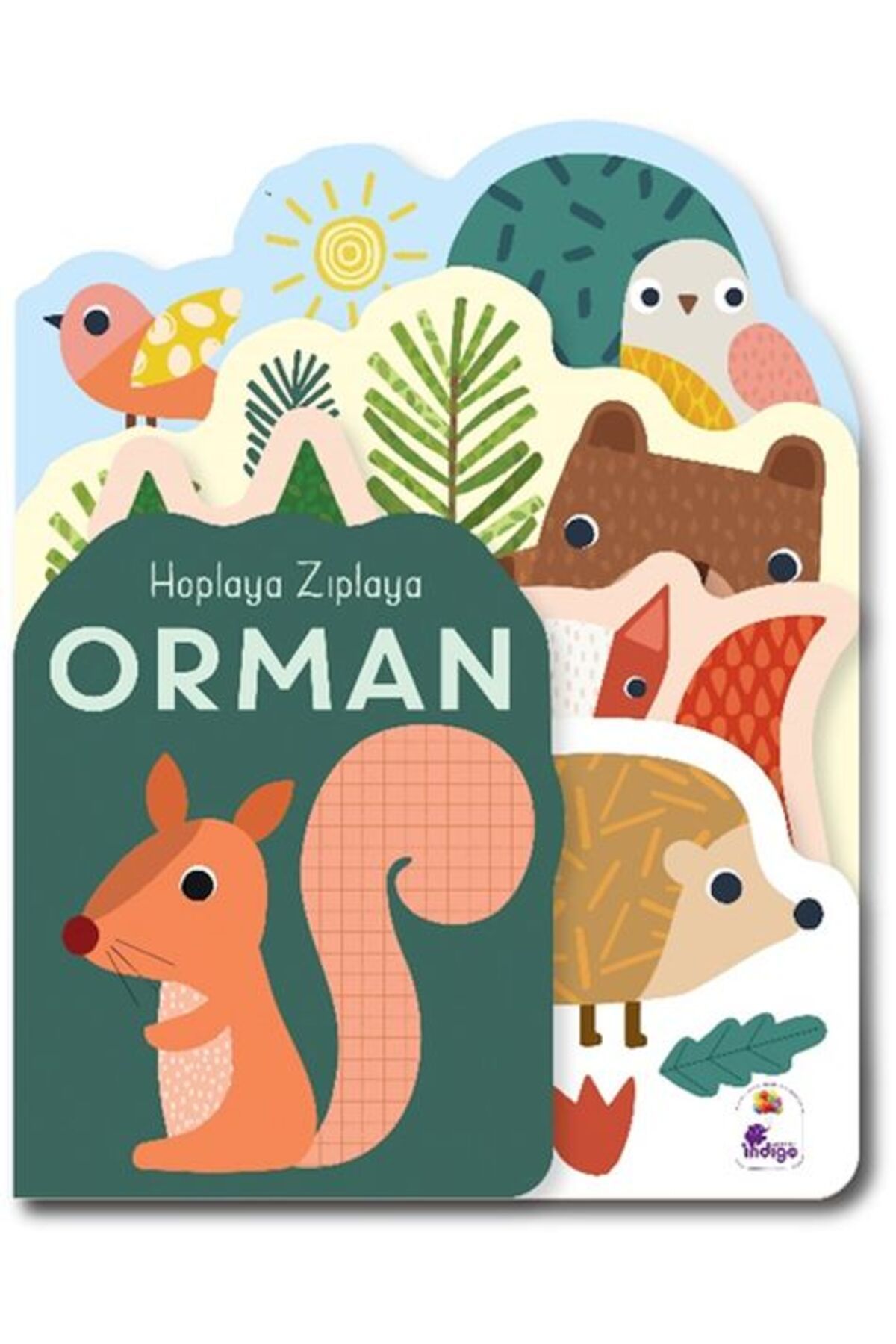 Destek Yayınları Hoplaya Zıplaya Orman