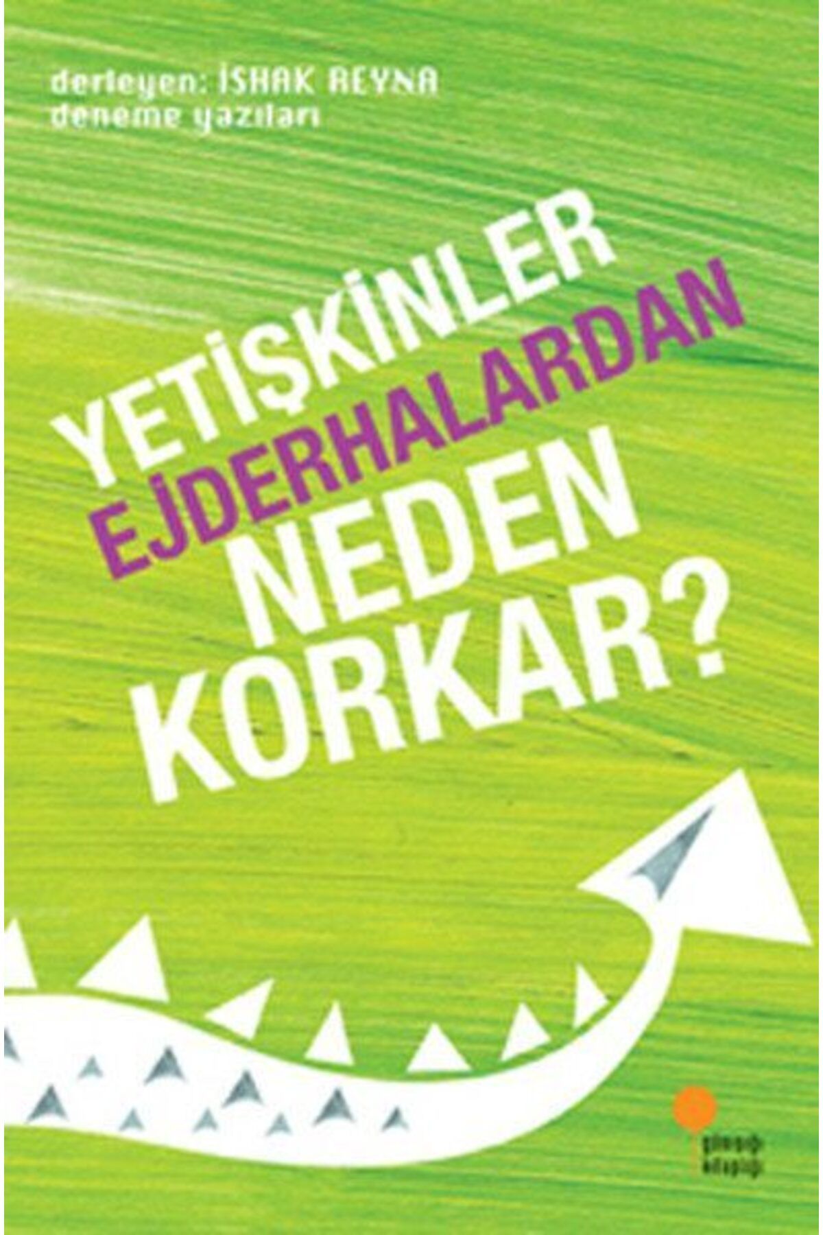 Destek Yayınları Yetişkinler Ejderhalardan Neden Korkar