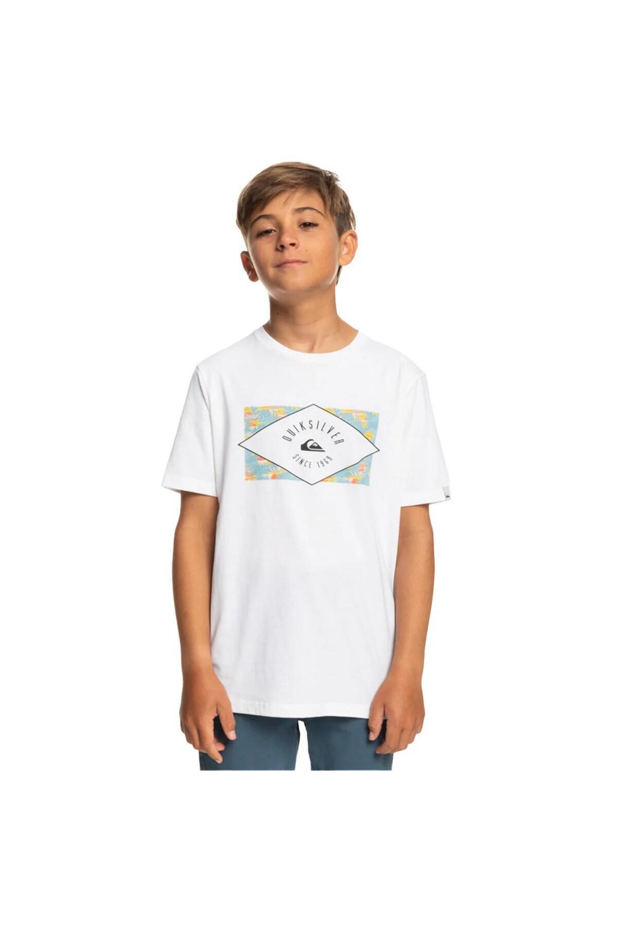 کوییک سیلور تی شرت پسرانه طرح Circledline B کد Eqbzt04590