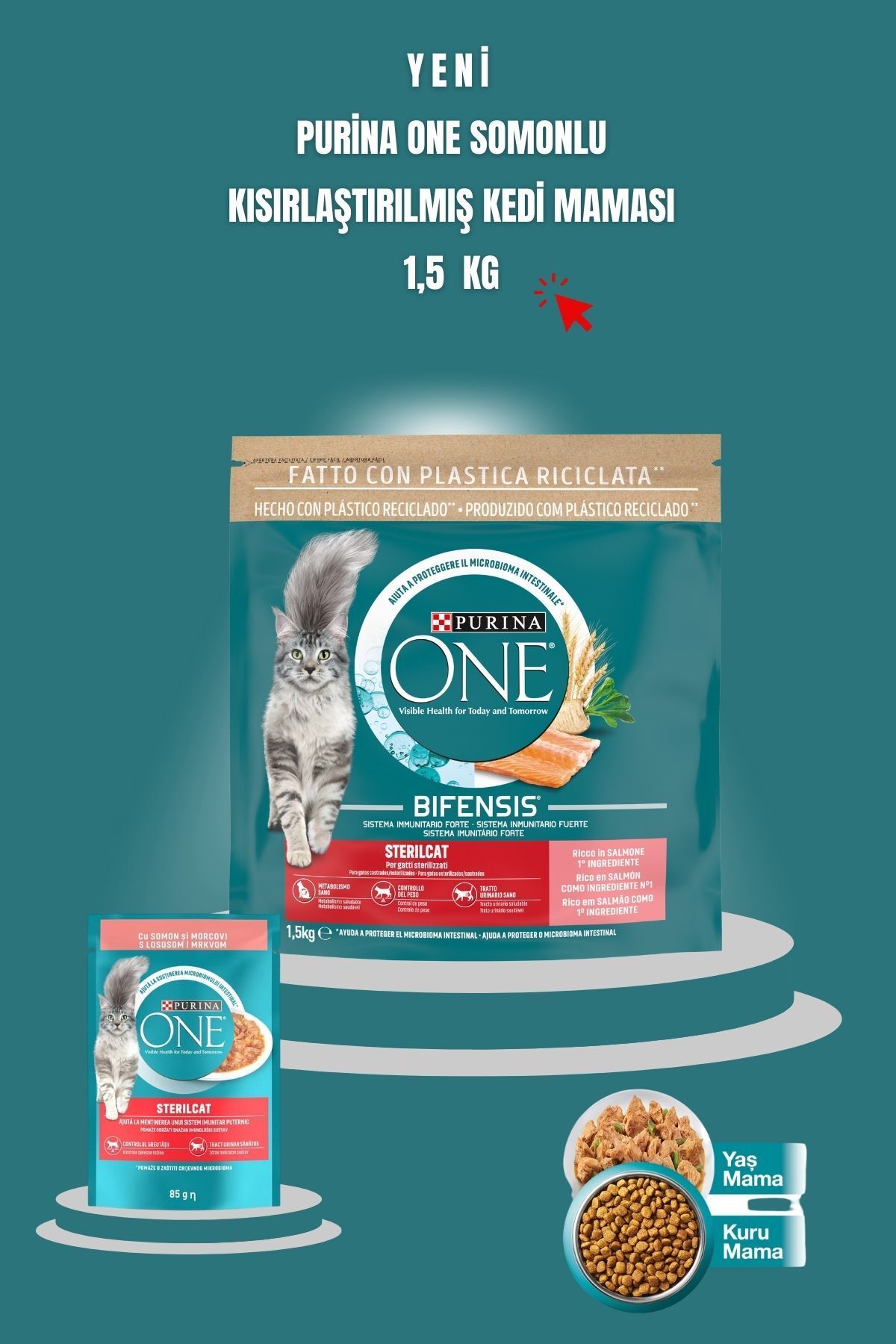 Purina One Sterilcat Somon & Buğdaylı Kısır Kedi Maması 1.5kg + Somonlu Yaş Kısır Kedi Maması 2x85g