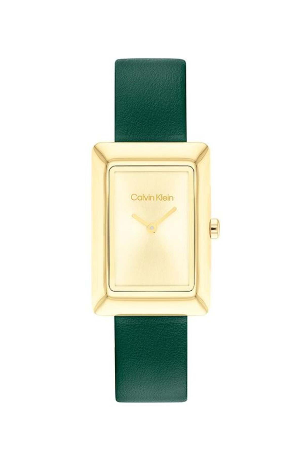 Calvin Klein CK25200397 Kadın Kol Saati