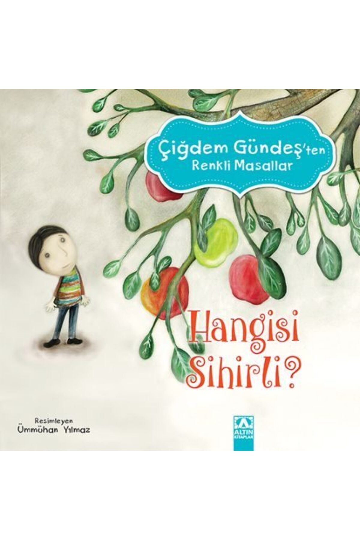 Destek Yayınları Çiğdem Gündeş Renkli Masallar Hangisi Sihirli