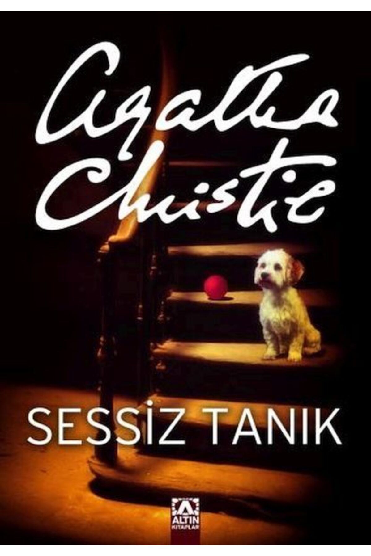 Destek Yayınları Sessiz Tanık
